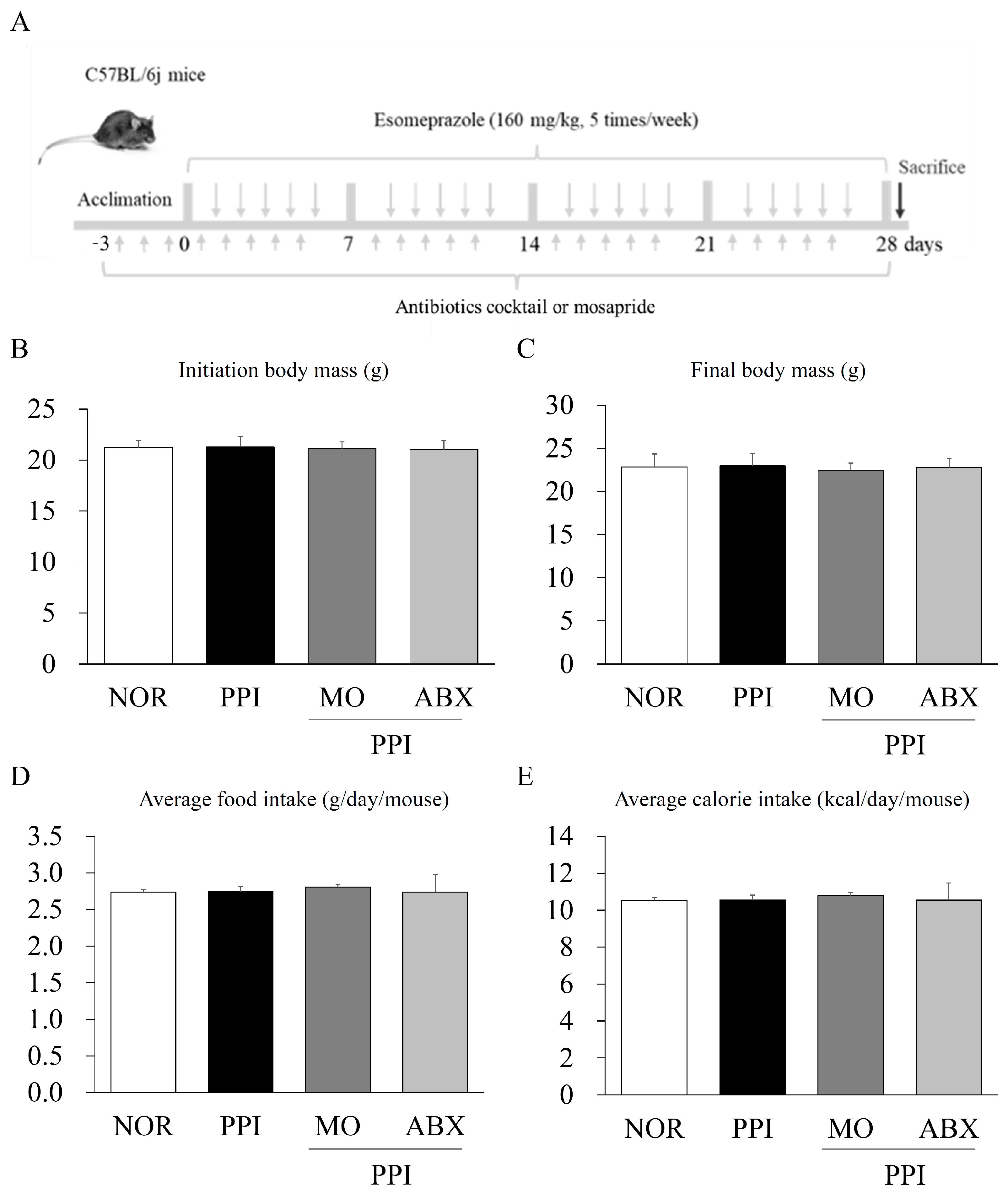 Antibiotics 14 00442 g001