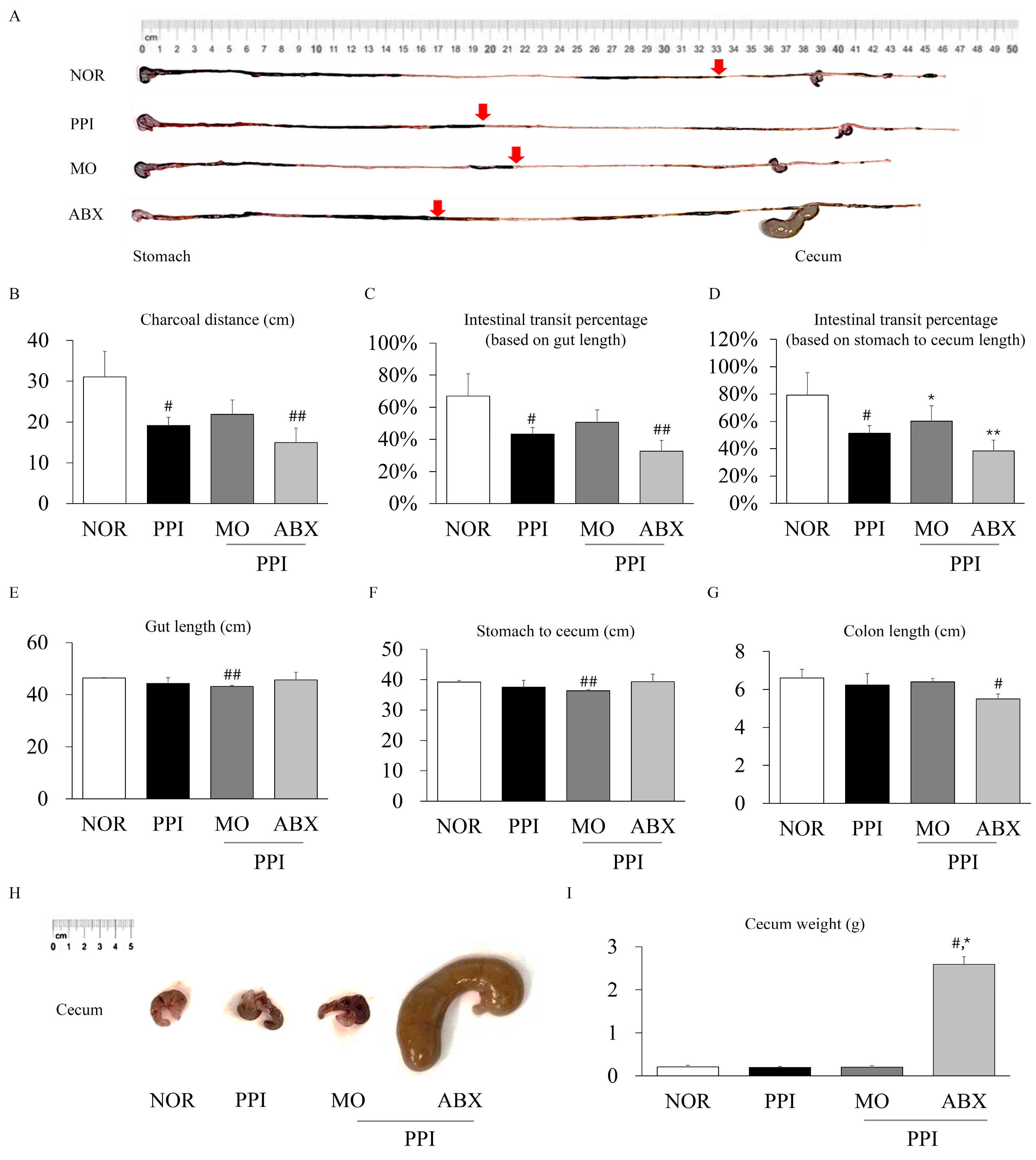 Antibiotics 14 00442 g003