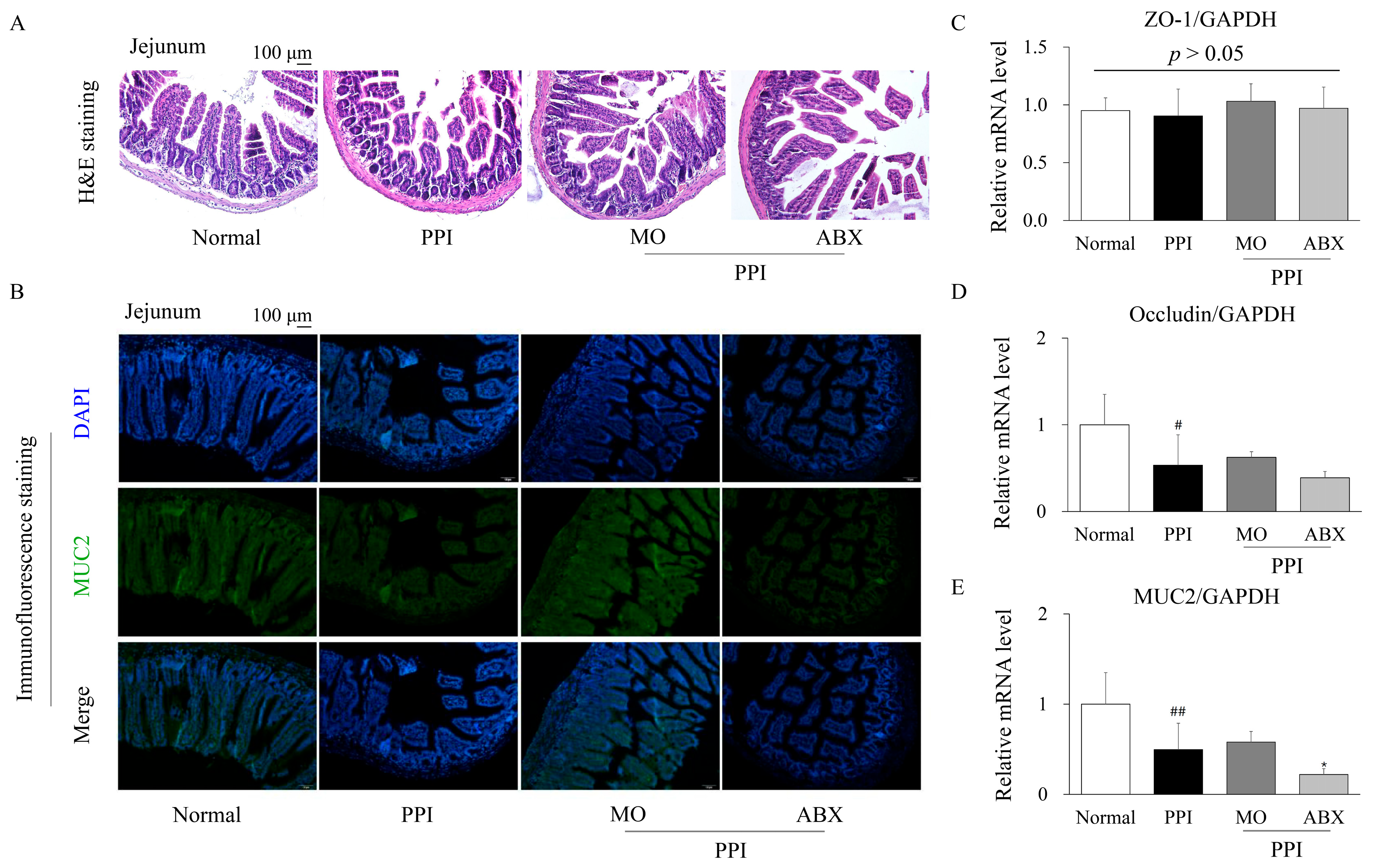 Antibiotics 14 00442 g004