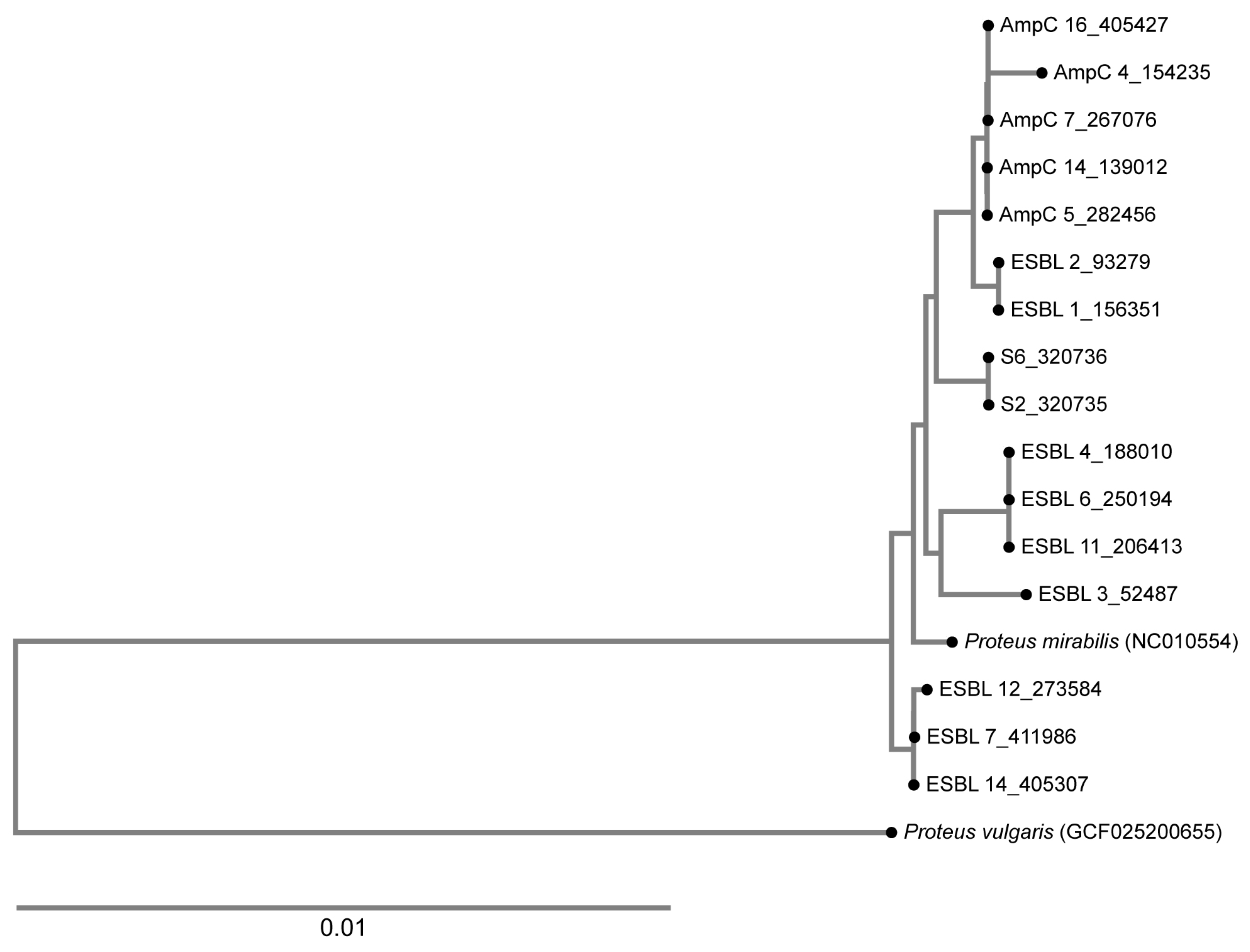 Antibiotics 14 00462 g002 Antibiotics 14 00462 g002