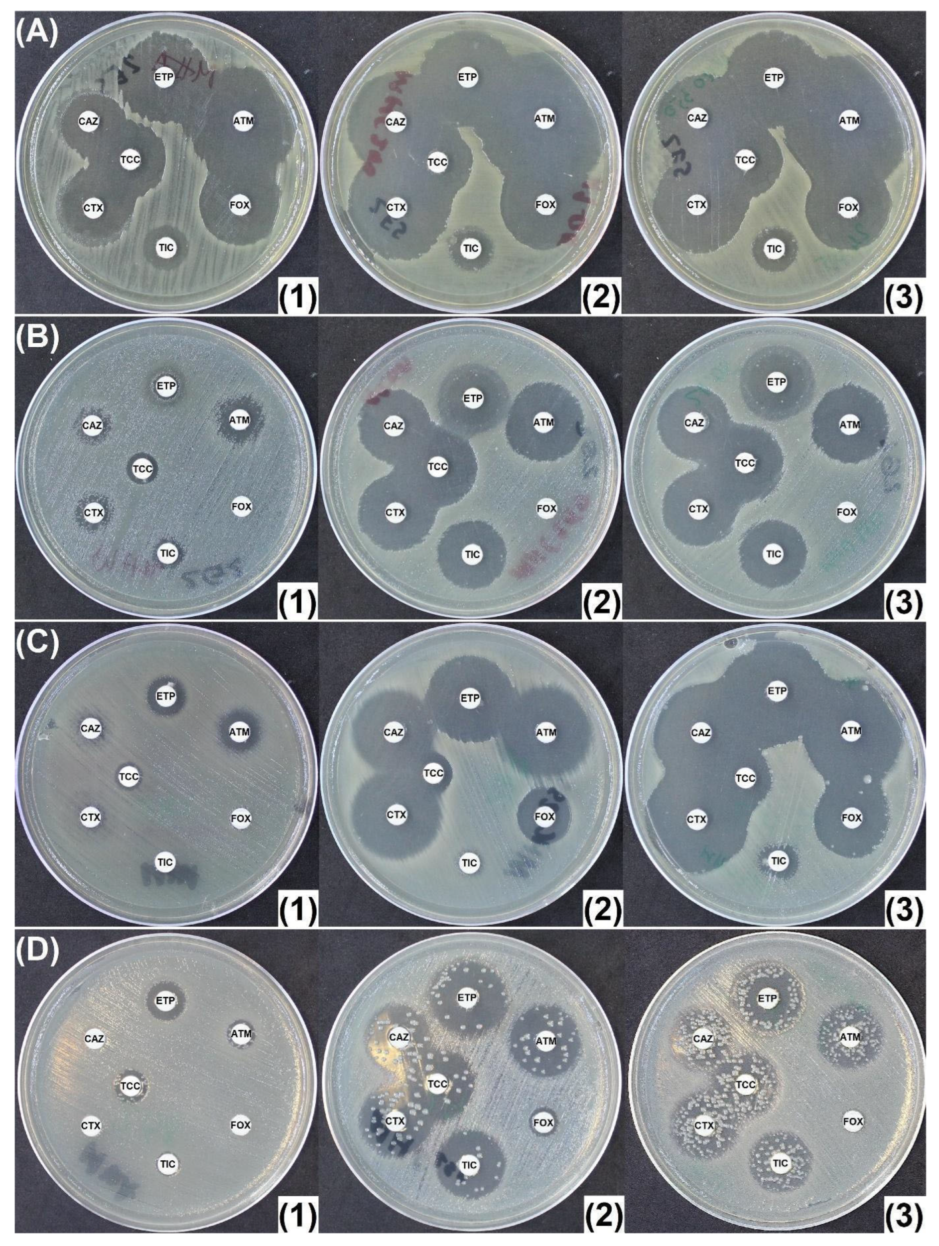 Antibiotics 14 00616 g005
