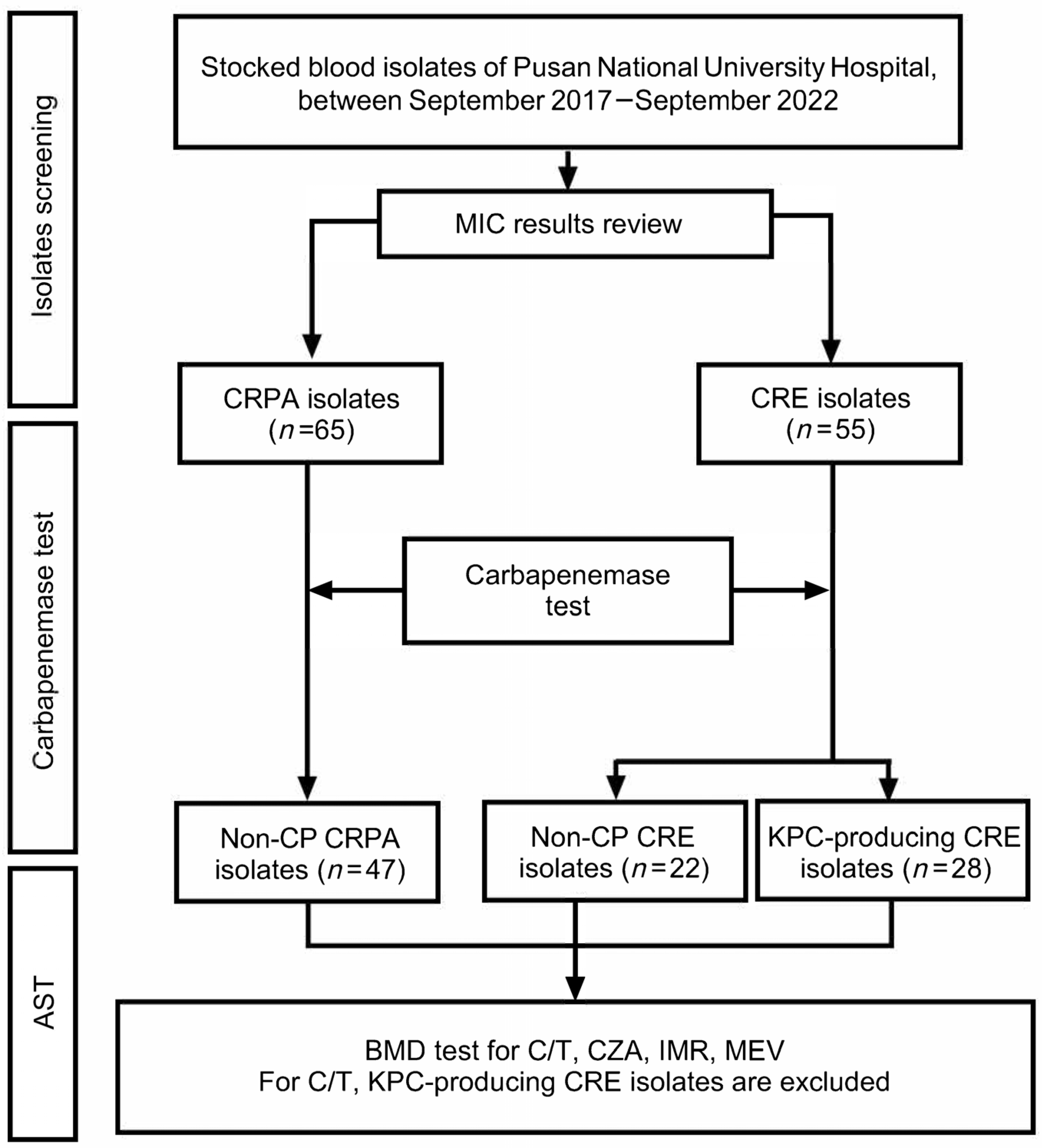 Antibiotics 14 00649 g001