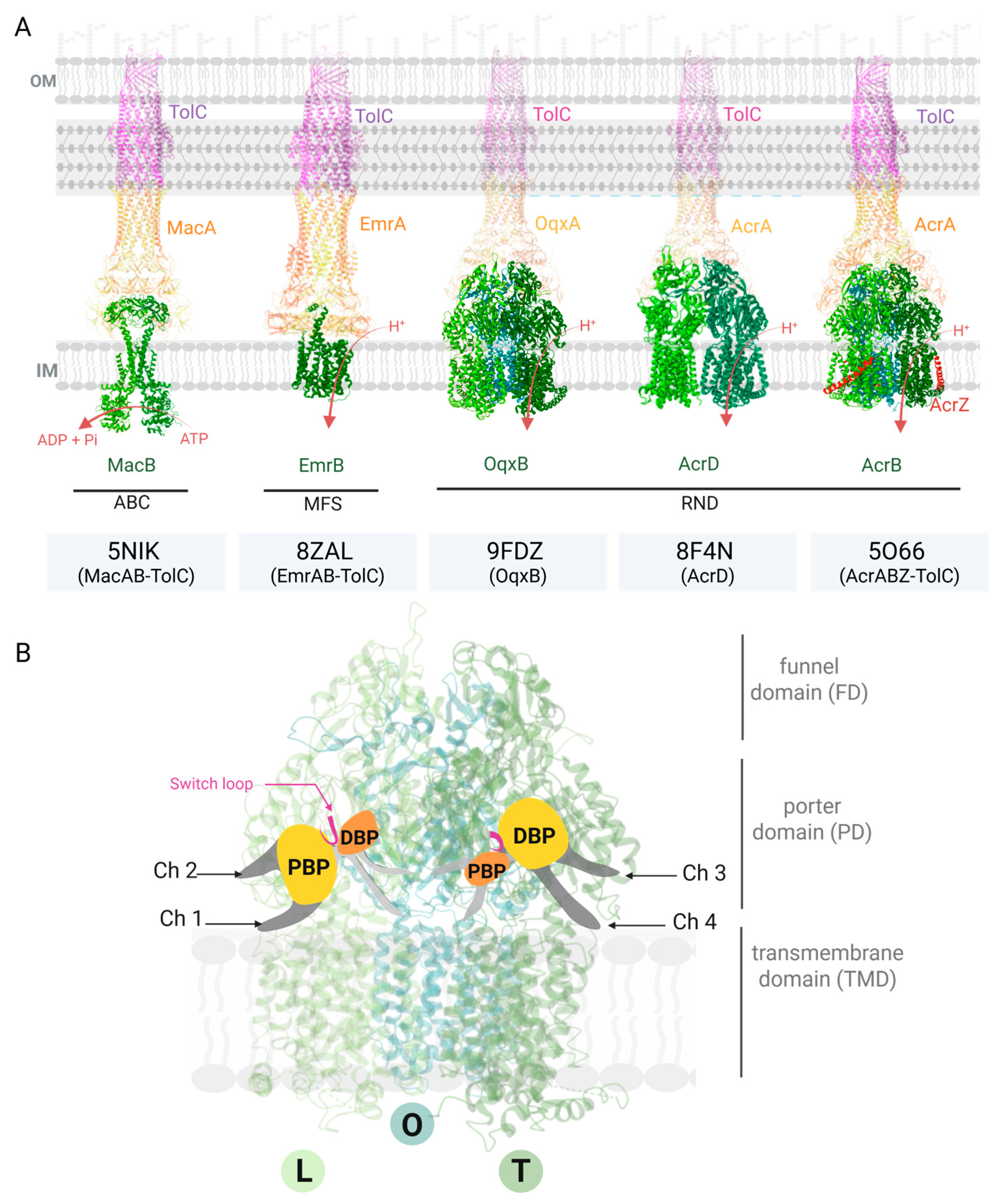 Antibiotics 14 00778 g001