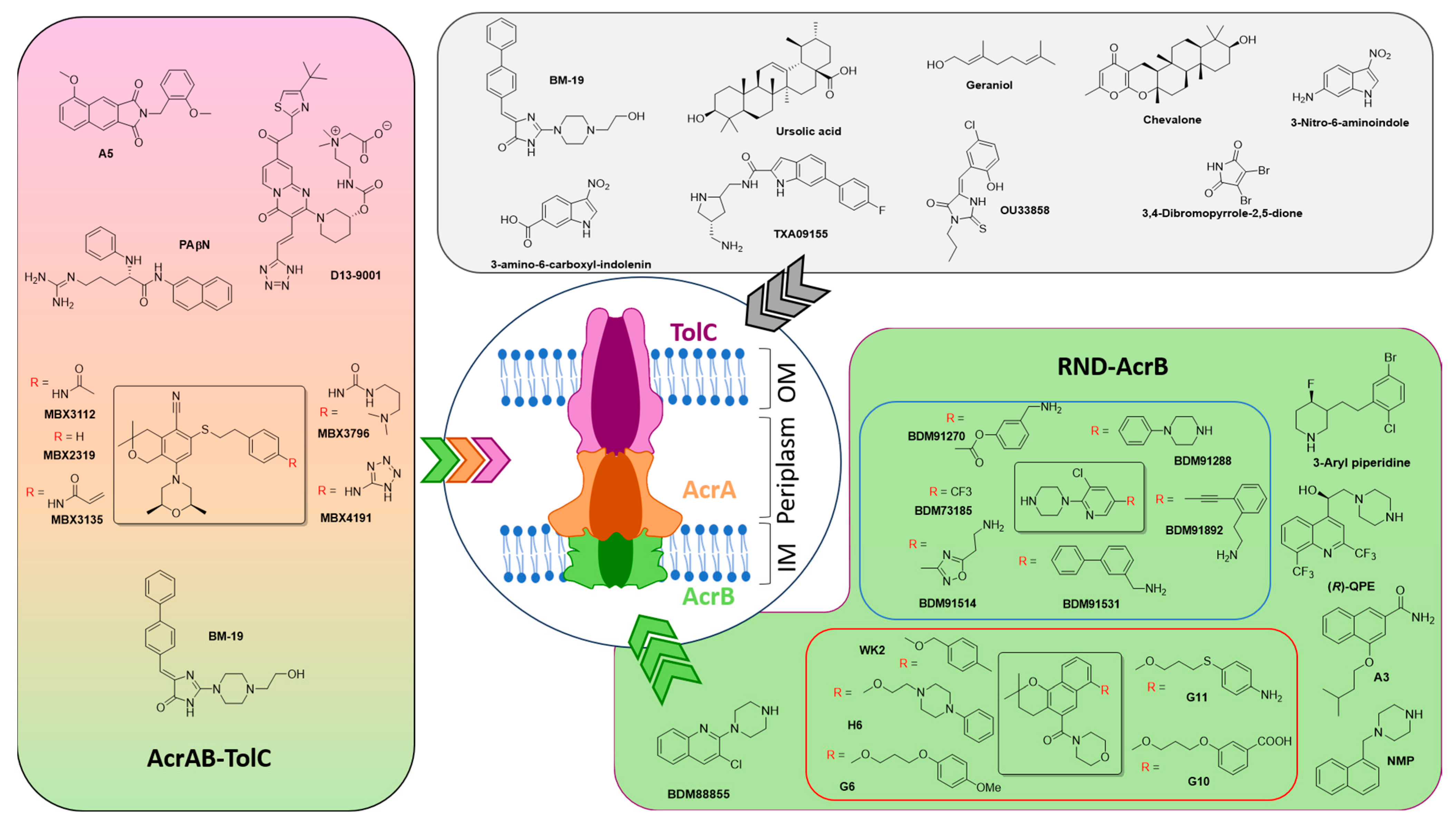 Antibiotics 14 00778 g003