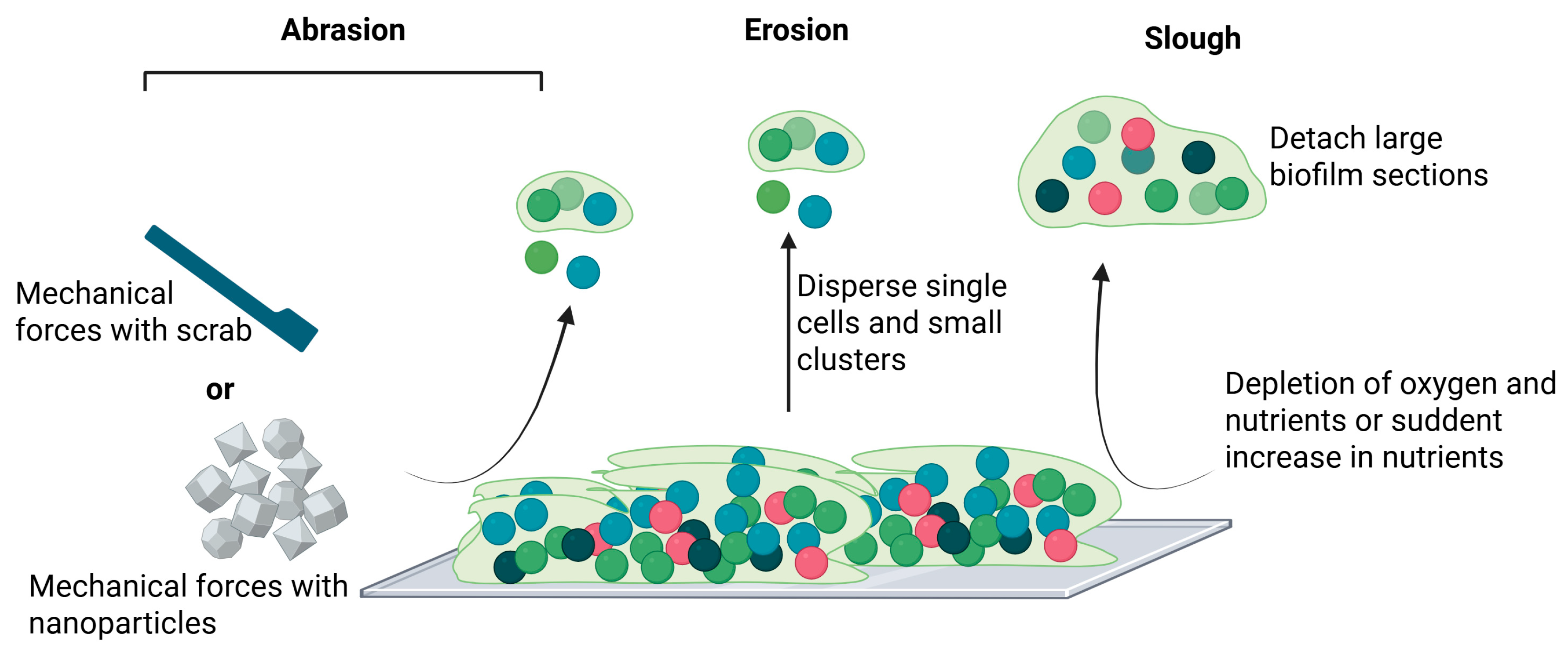 Antibiotics 14 00802 g002 Antibiotics 14 00802 g002