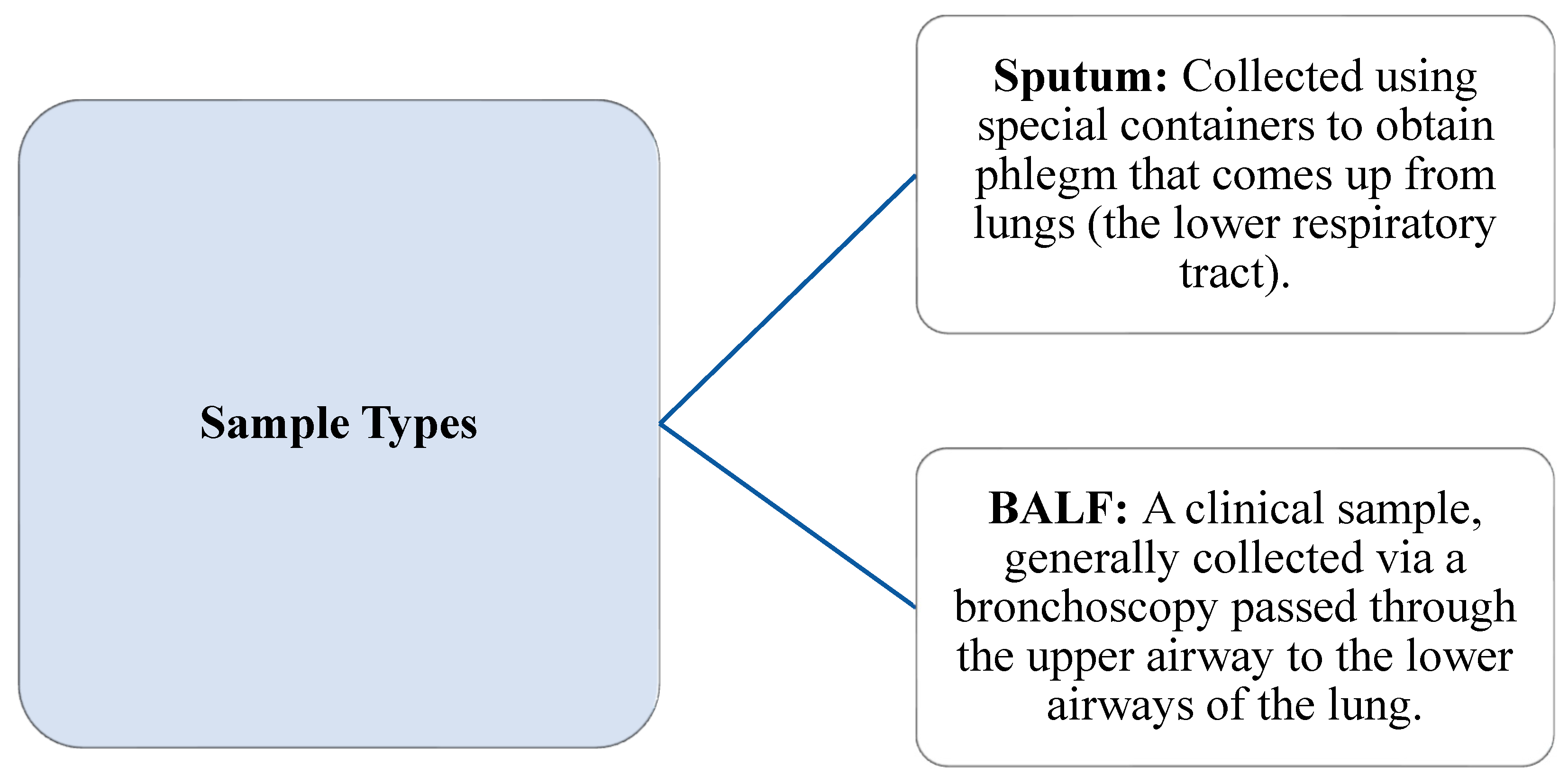 Antibiotics 14 00937 g002 Antibiotics 14 00937 g002