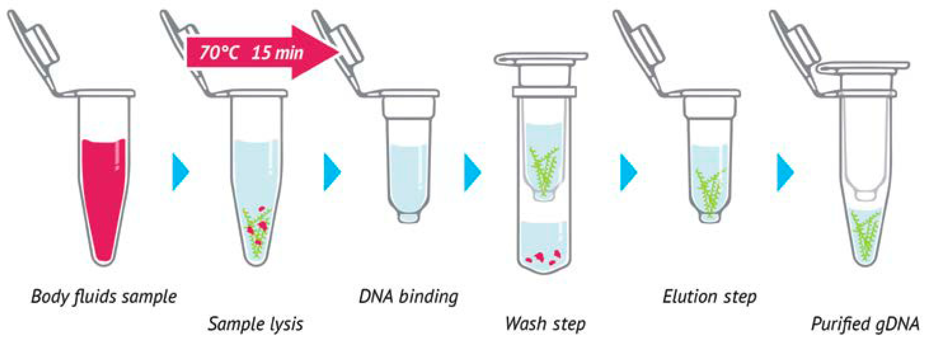 Antibiotics 14 00937 g003 Antibiotics 14 00937 g003