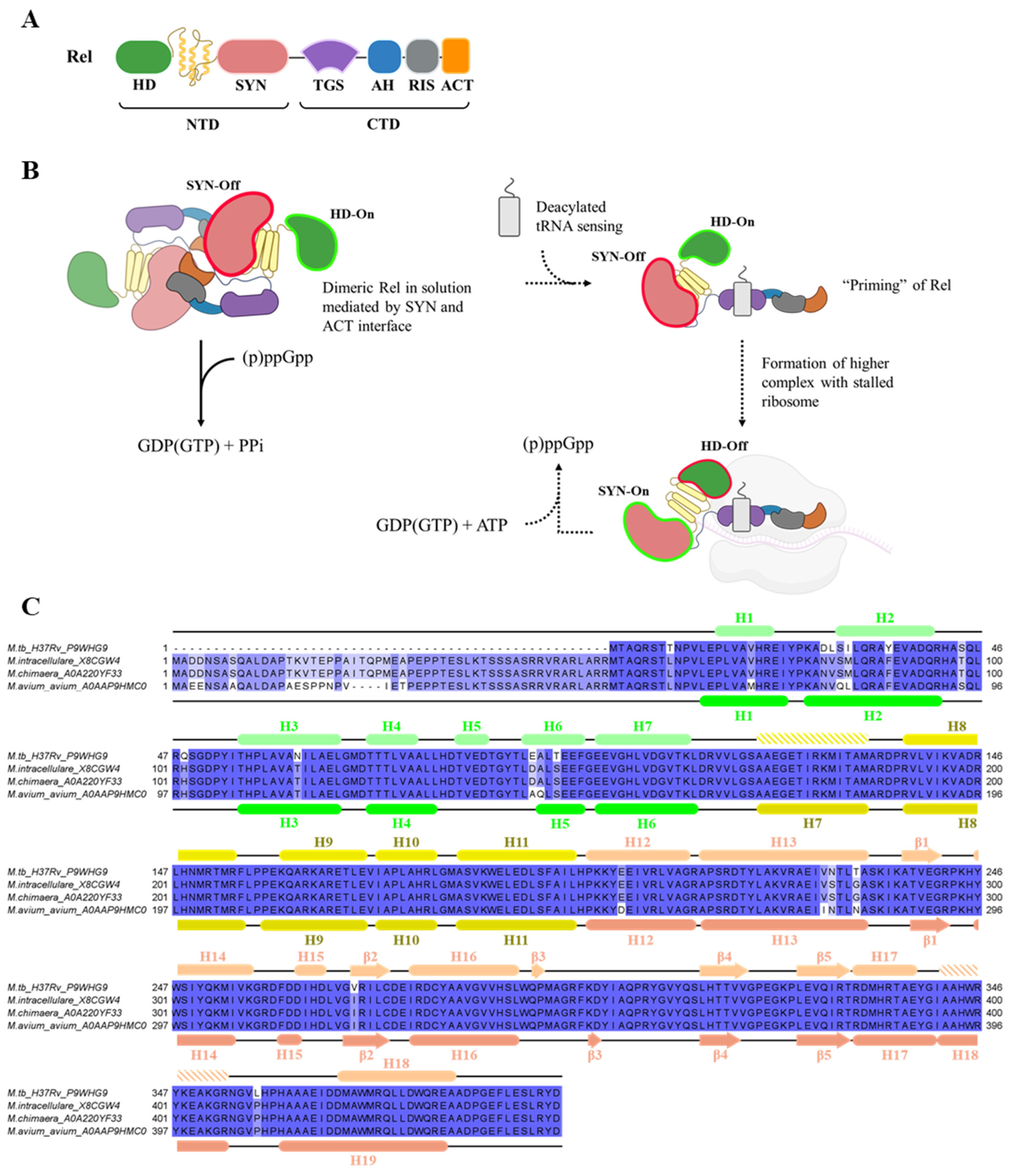 Antibiotics 14 00964 g001 Antibiotics 14 00964 g001