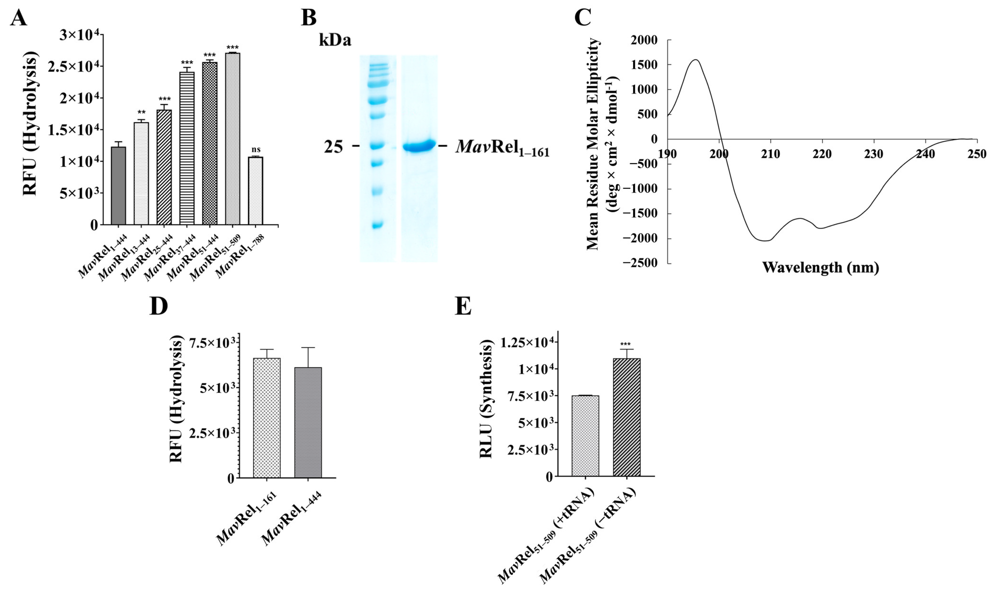 Antibiotics 14 00964 g005 Antibiotics 14 00964 g005