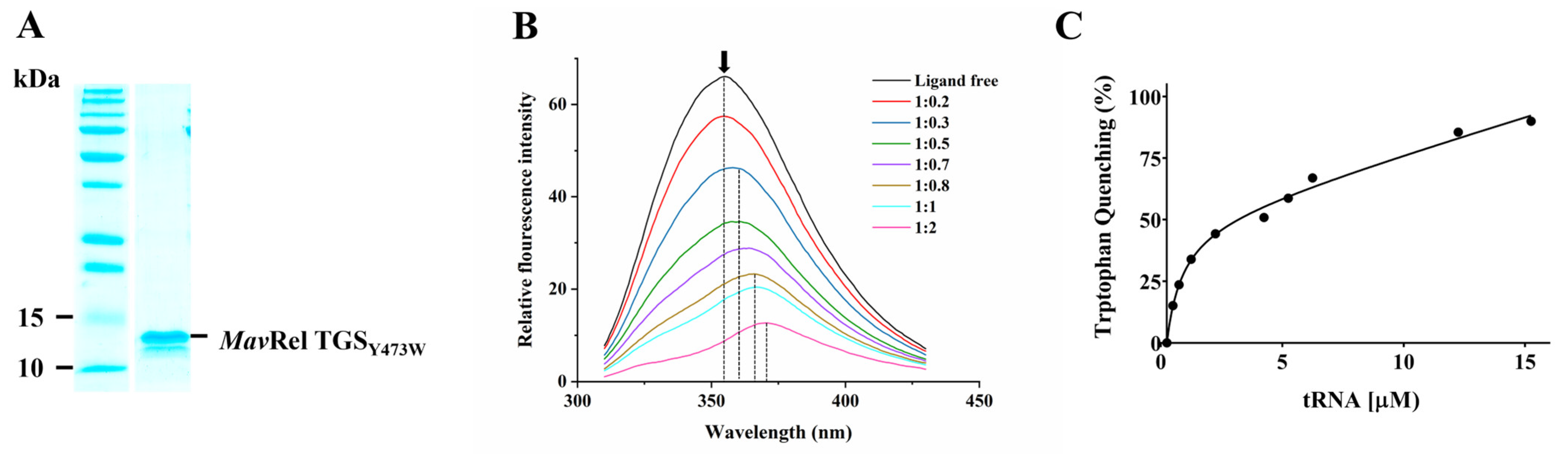 Antibiotics 14 00964 g006 Antibiotics 14 00964 g006