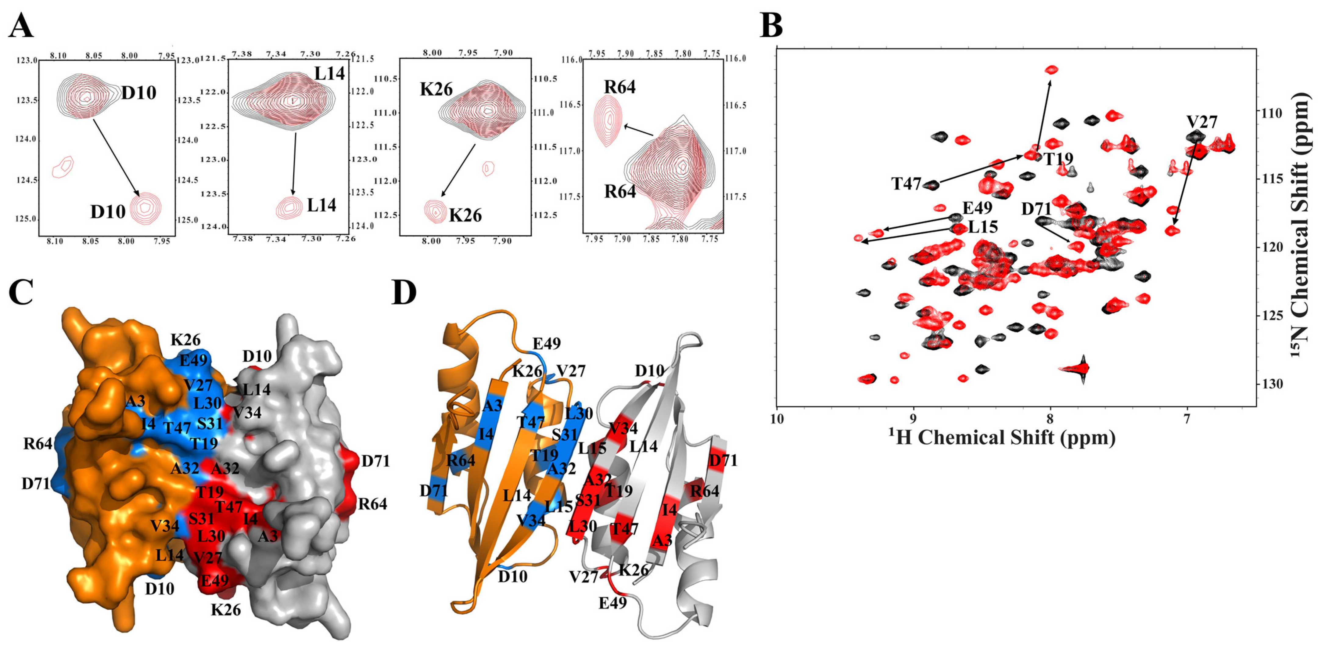 Antibiotics 14 00964 g008 Antibiotics 14 00964 g008