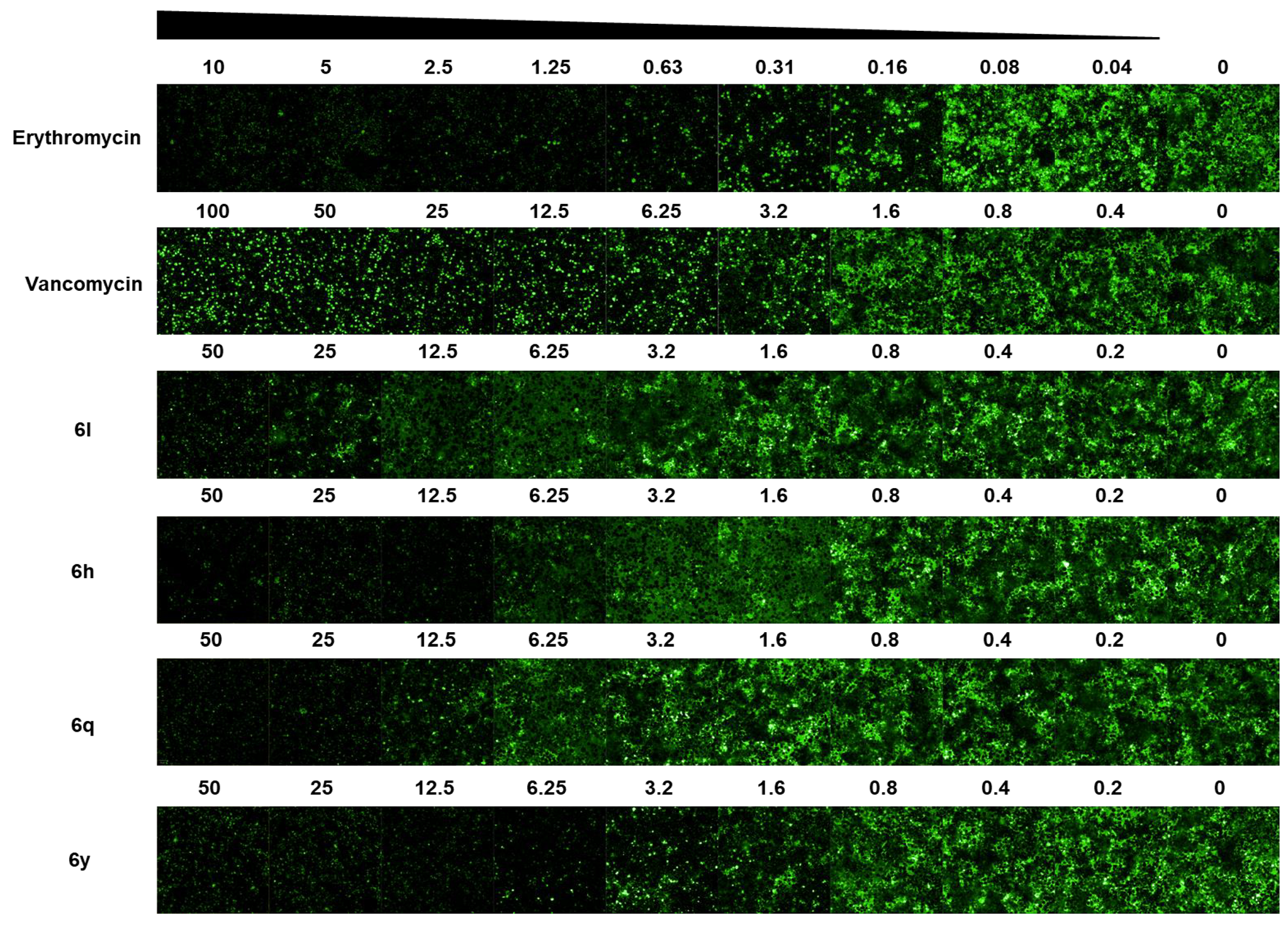 Antibiotics 14 00967 g004 Antibiotics 14 00967 g004