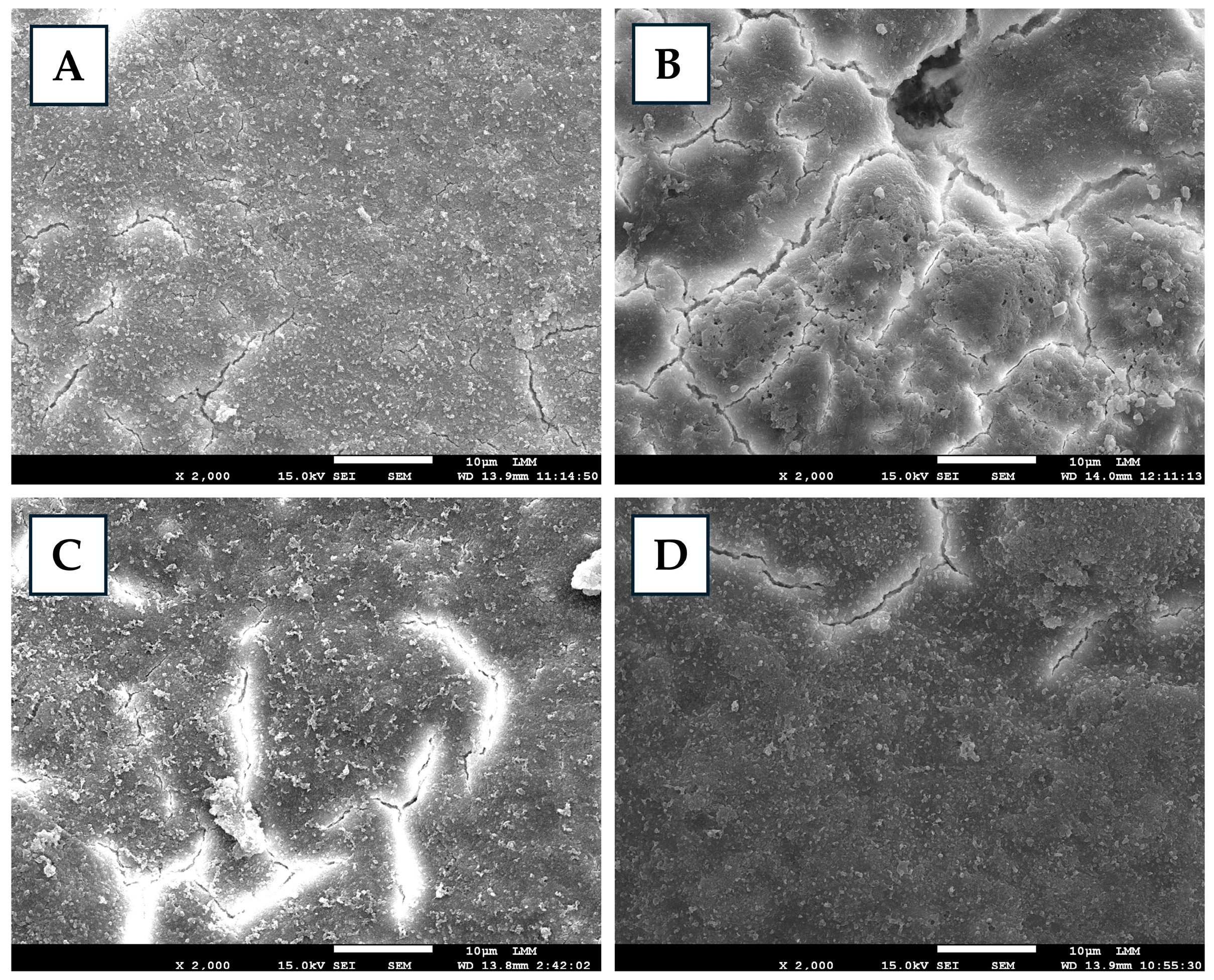 Antibiotics 14 00972 g001 Antibiotics 14 00972 g001