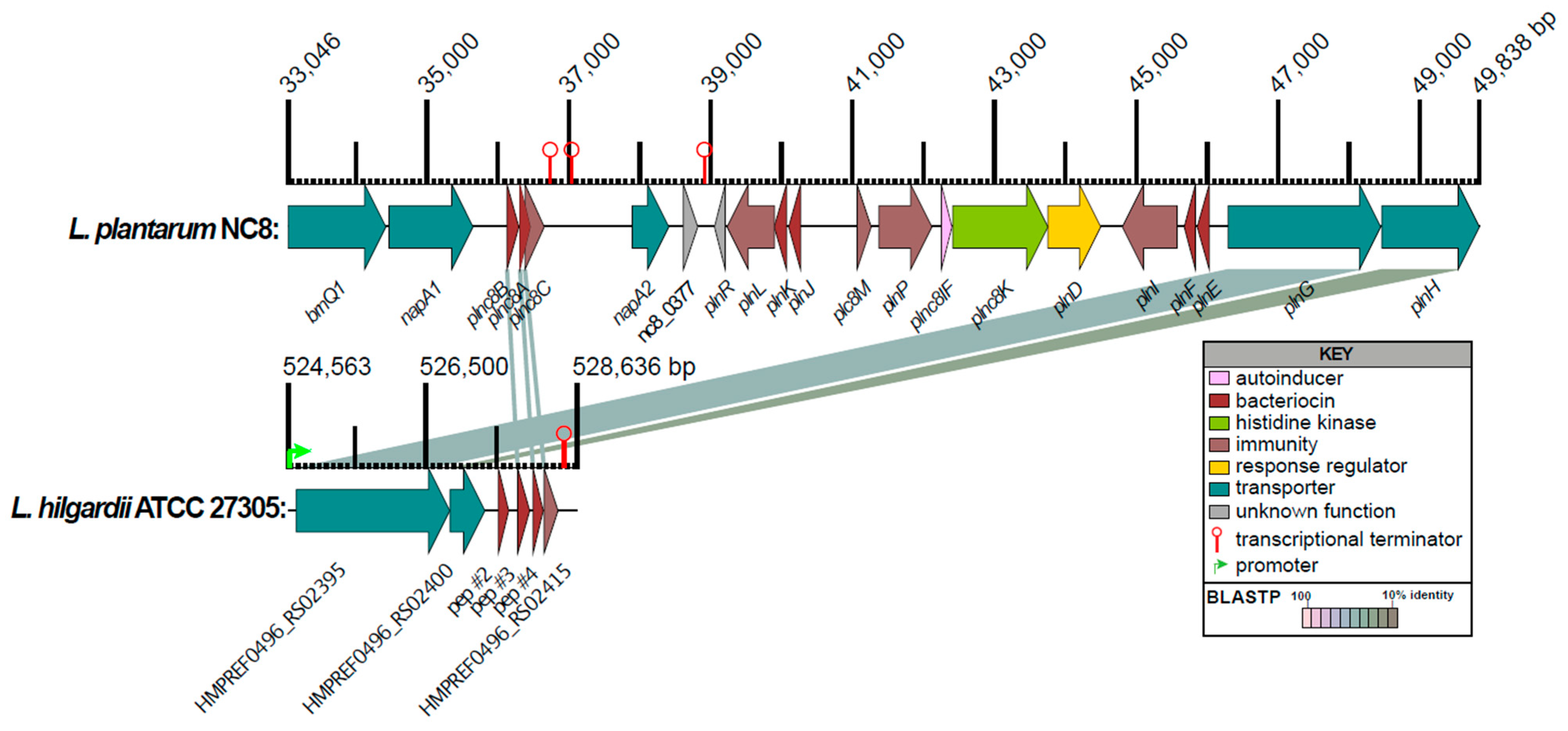 Antibiotics 14 01004 g004 Antibiotics 14 01004 g004