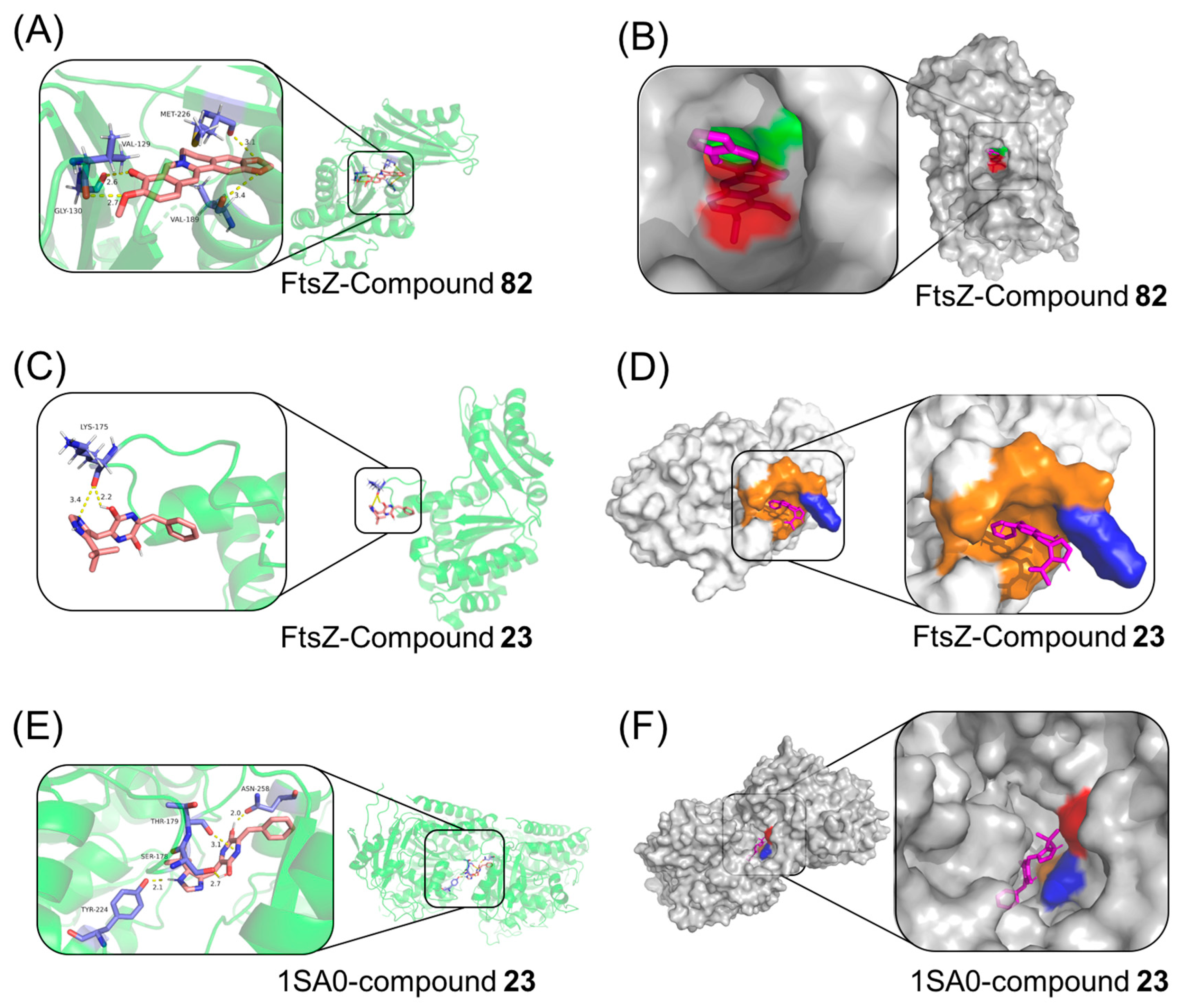 Antibiotics 14 01014 g011 Antibiotics 14 01014 g011