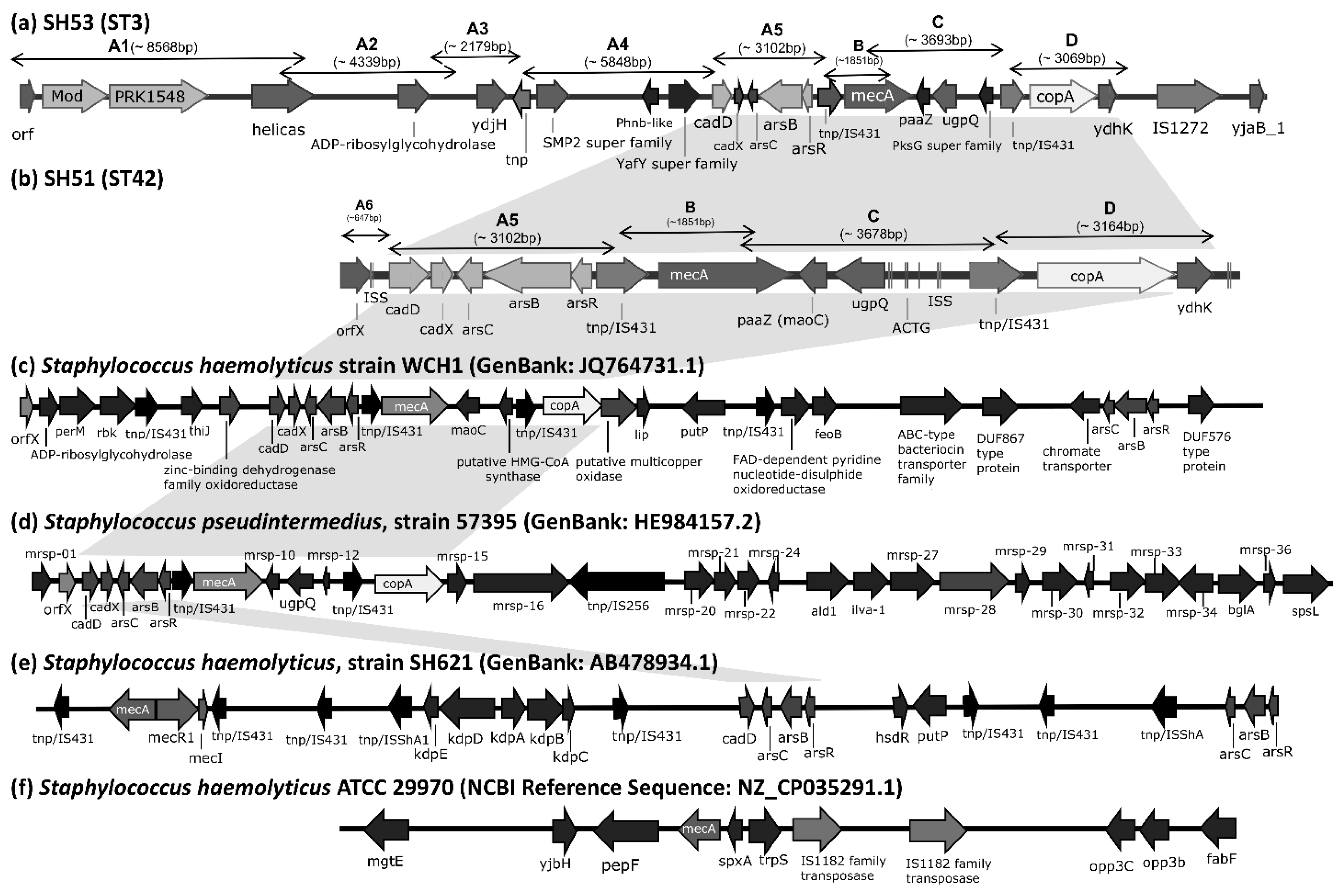 Antibiotics 14 01015 g001 Antibiotics 14 01015 g001