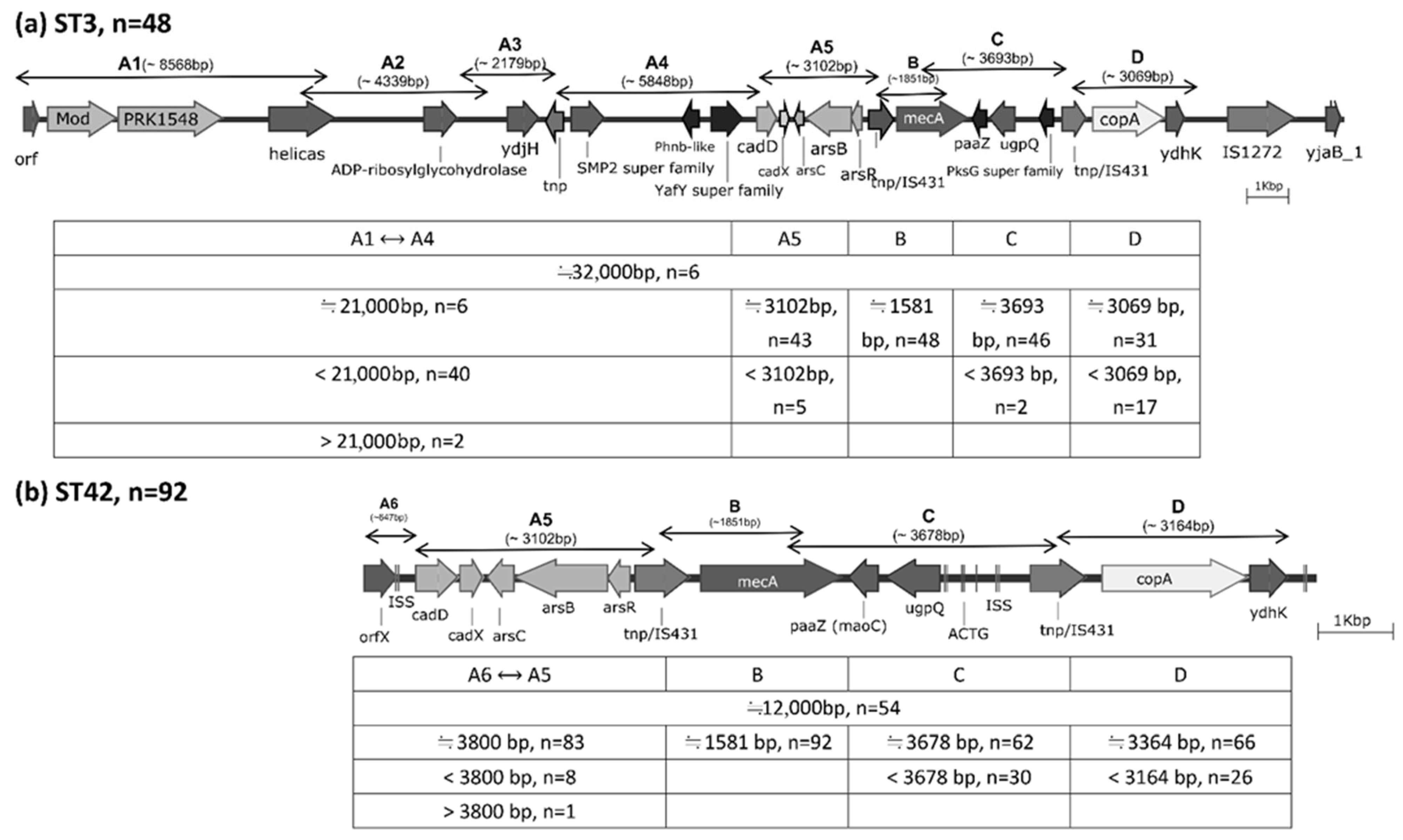 Antibiotics 14 01015 g002 Antibiotics 14 01015 g002