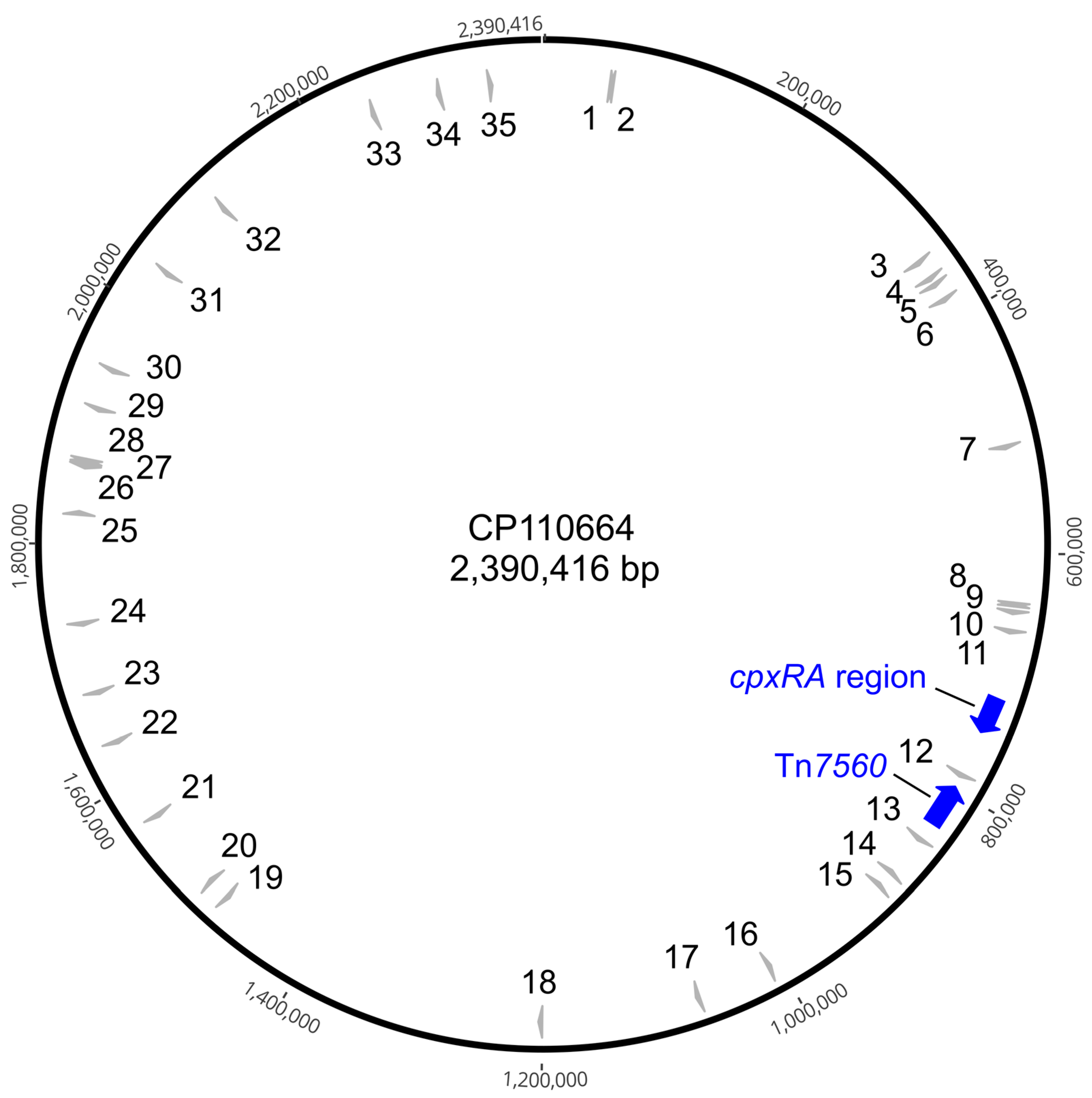 Antibiotics 14 01021 g001 Antibiotics 14 01021 g001