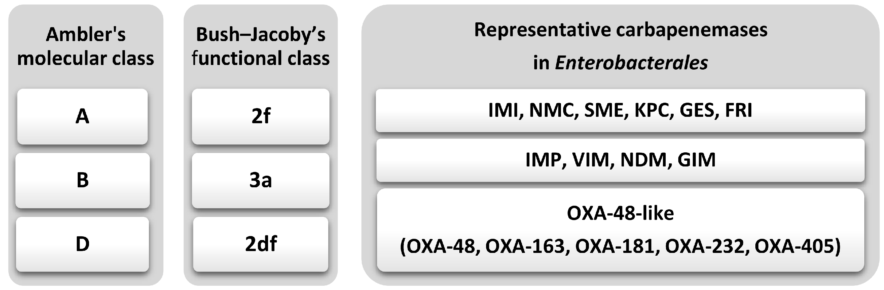 Antibiotics 14 01045 g001 Antibiotics 14 01045 g001