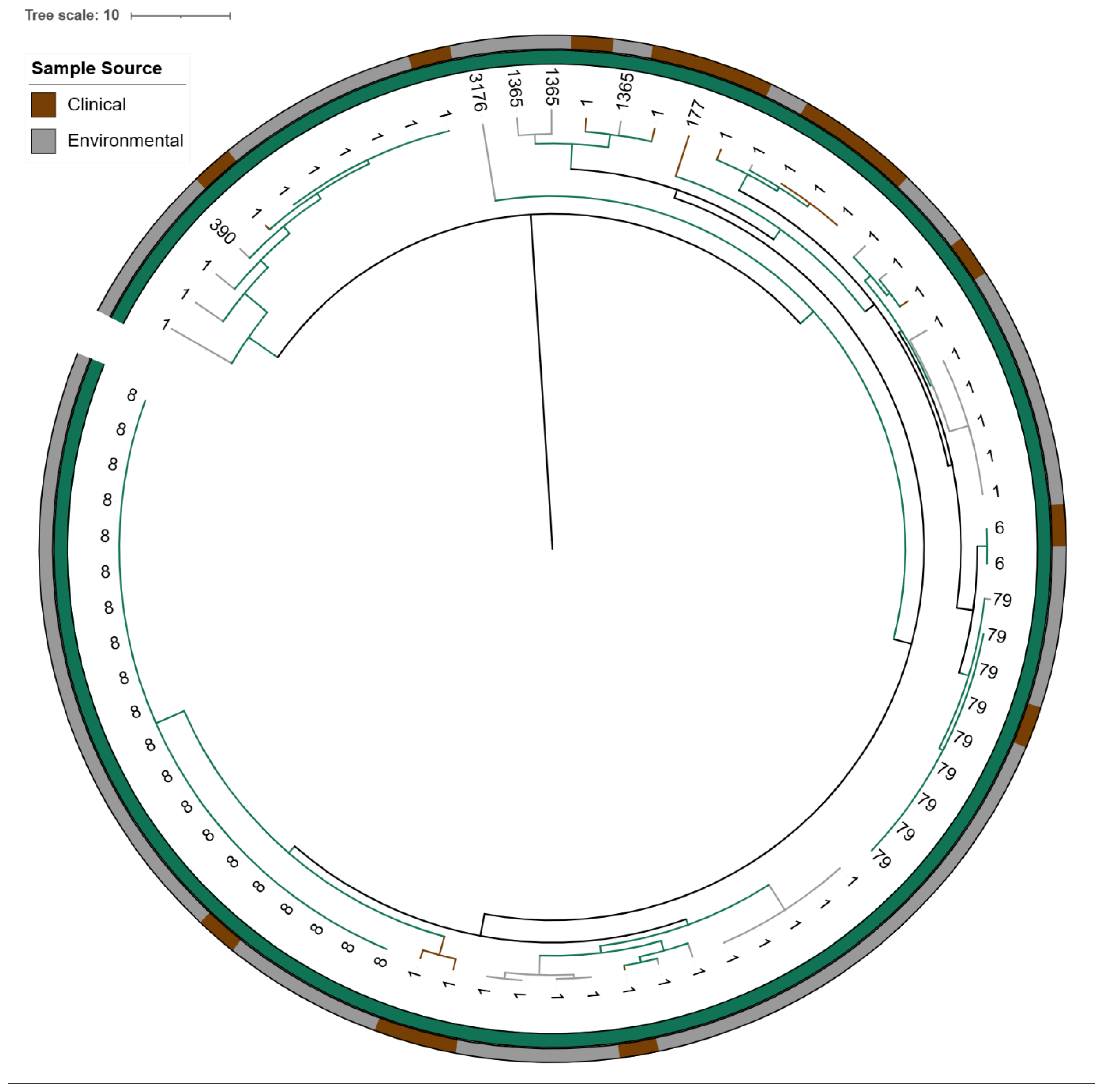 Antibiotics 14 01053 g008 Antibiotics 14 01053 g008