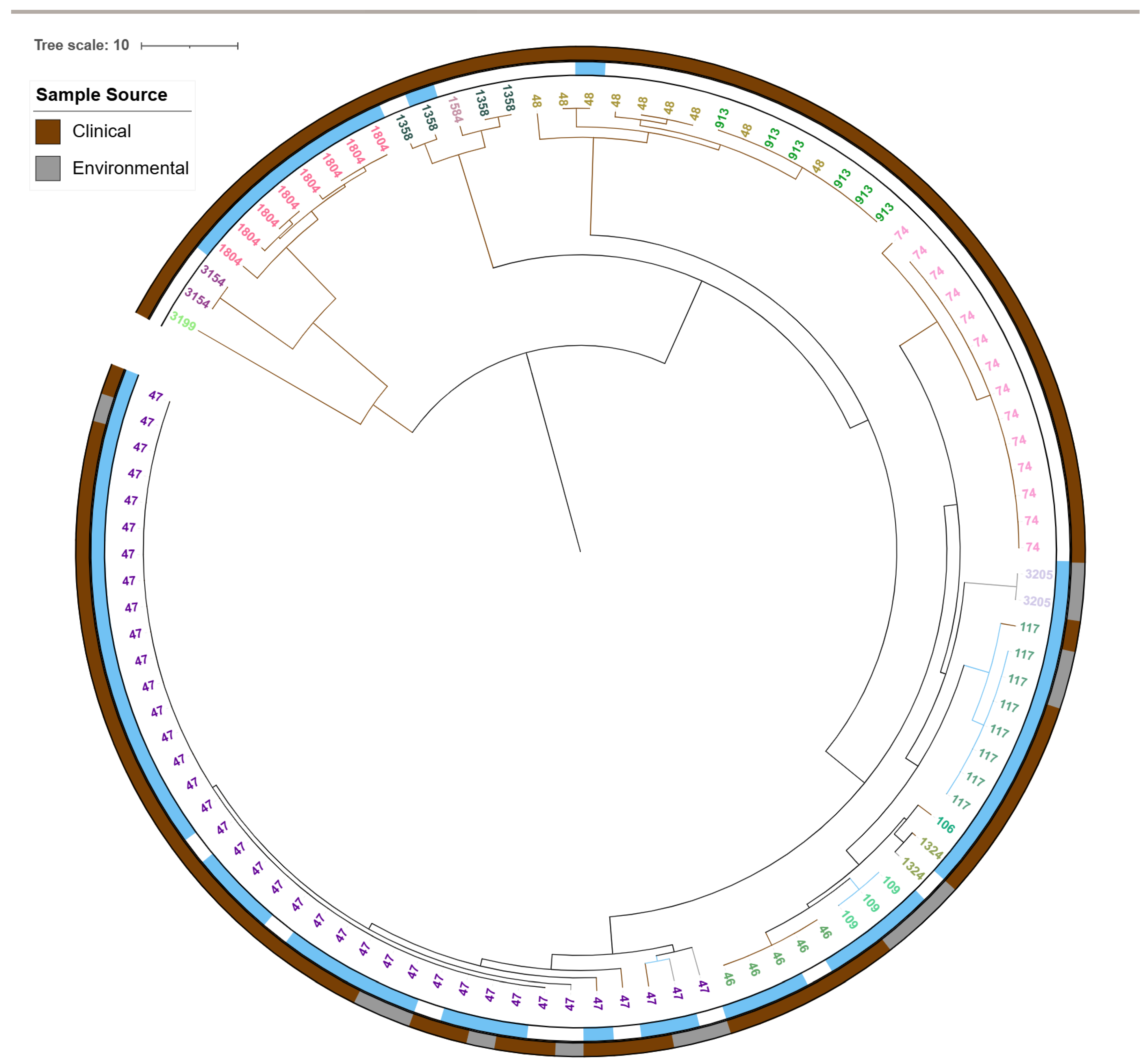 Antibiotics 14 01053 g009 Antibiotics 14 01053 g009