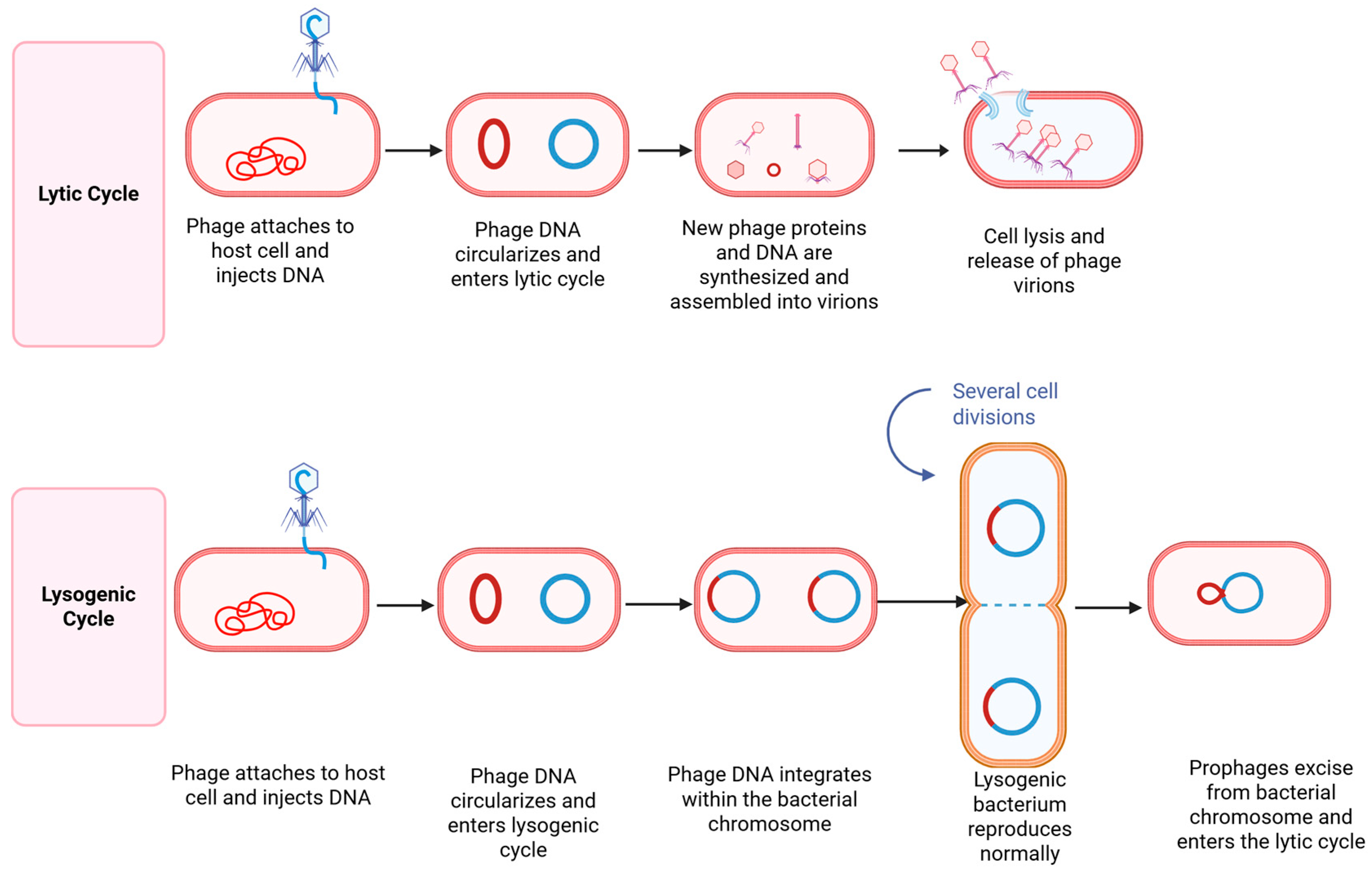 Antibiotics 14 01054 g003 Antibiotics 14 01054 g003
