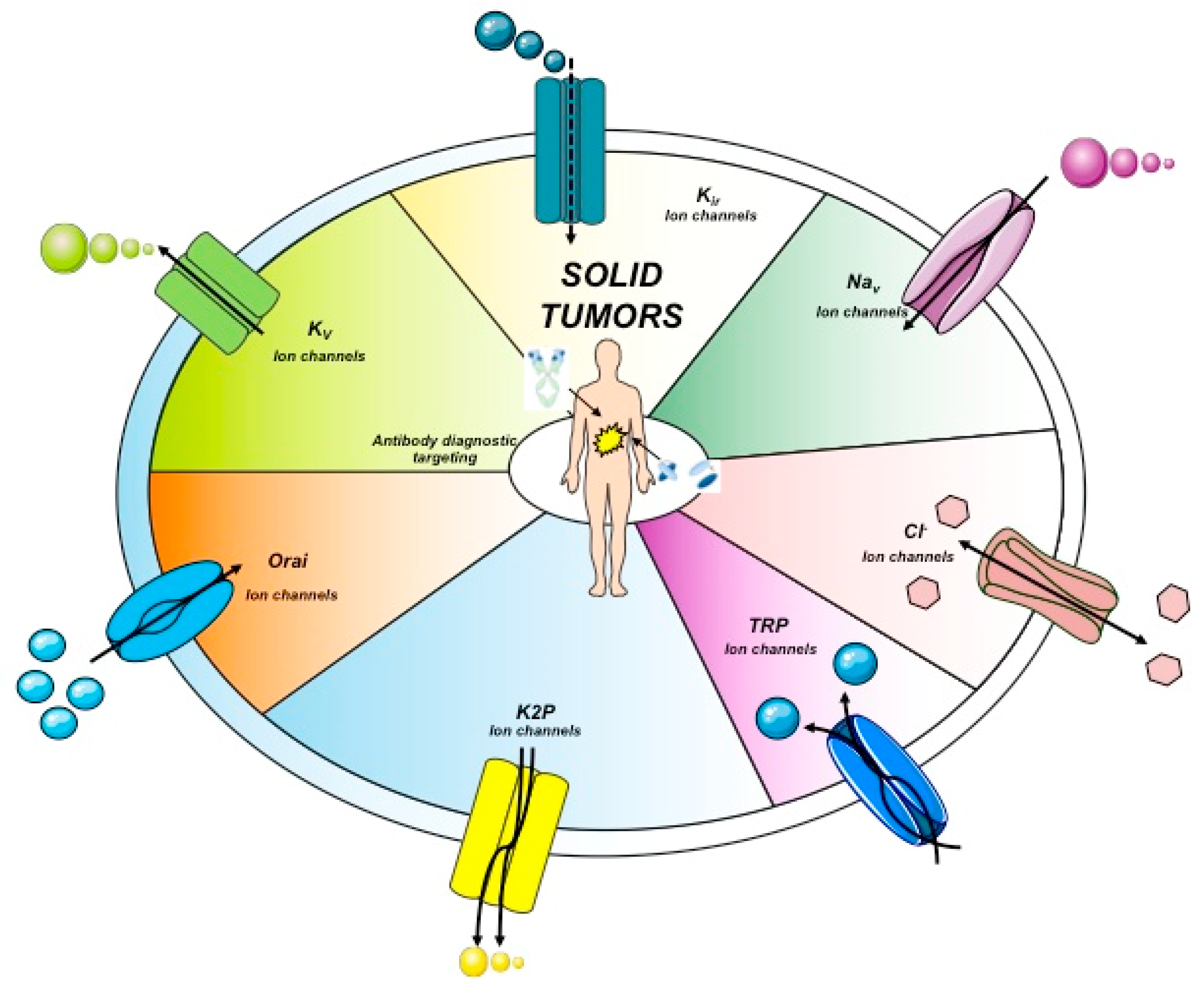 Antibodies 08 00033 g002