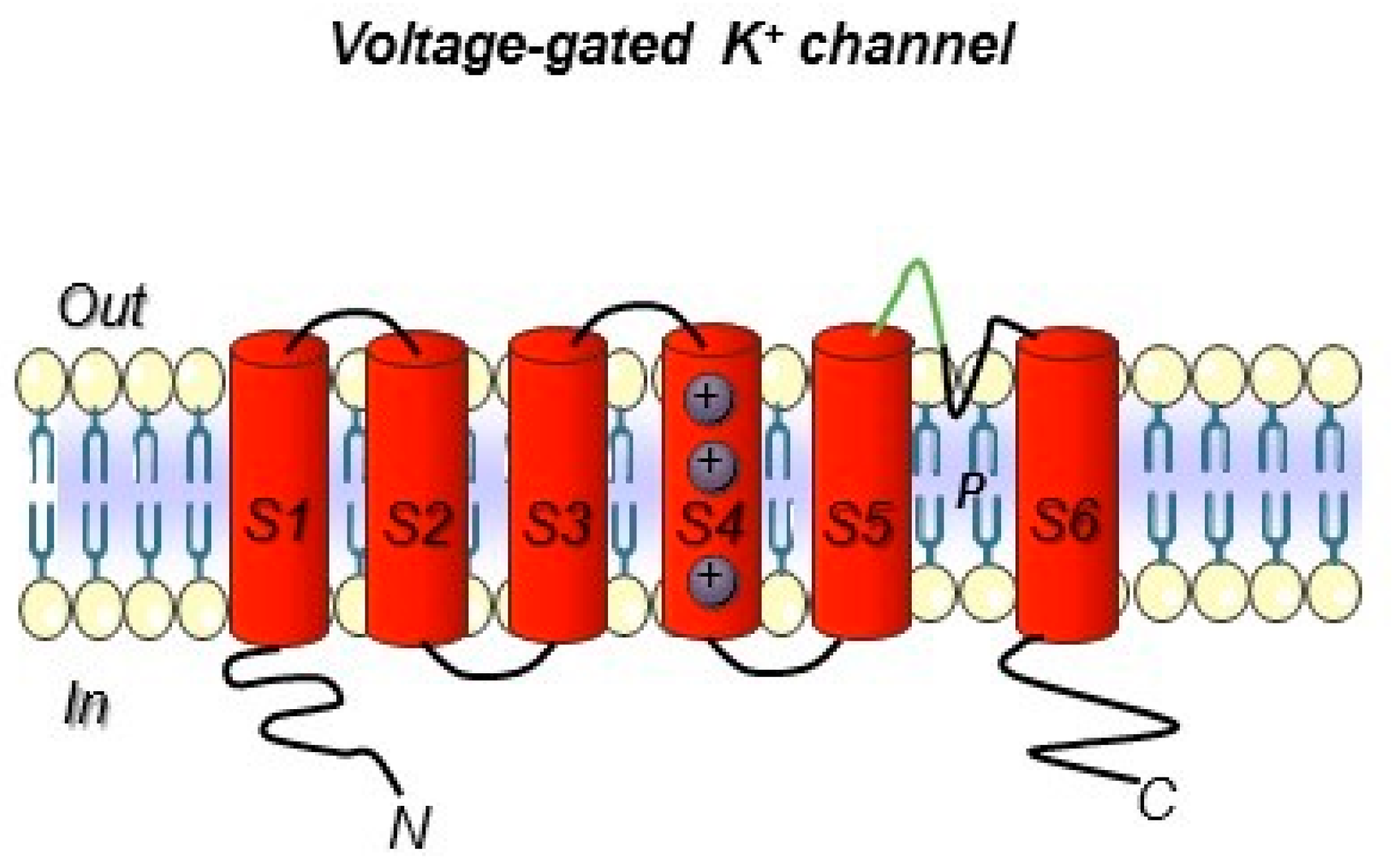 Antibodies 08 00033 g003