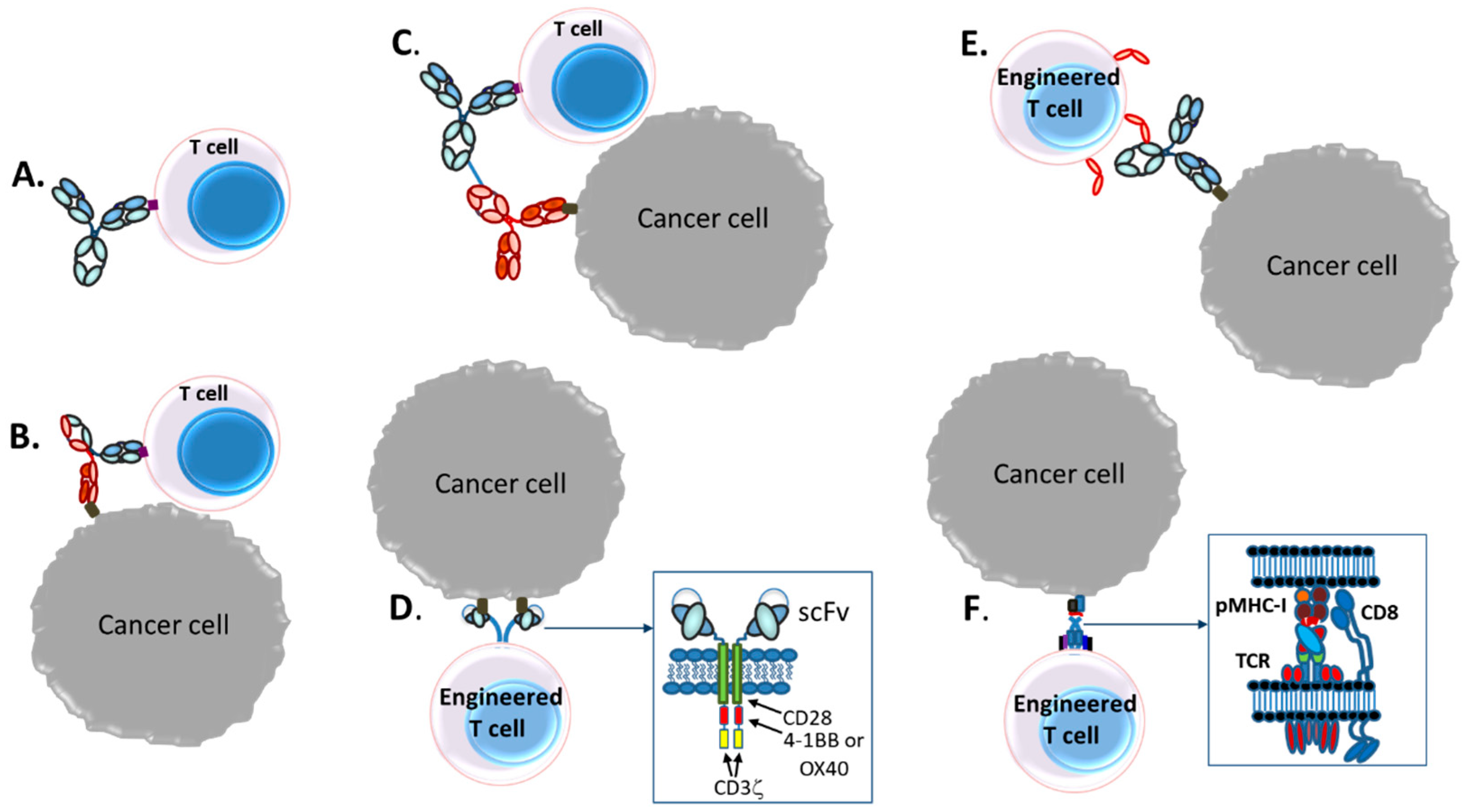 Antibodies | Free Full-Text | Bispecific T-Cell Redirection versus Chimeric  Antigen Receptor (CAR)-T Cells as Approaches to Kill Cancer Cells