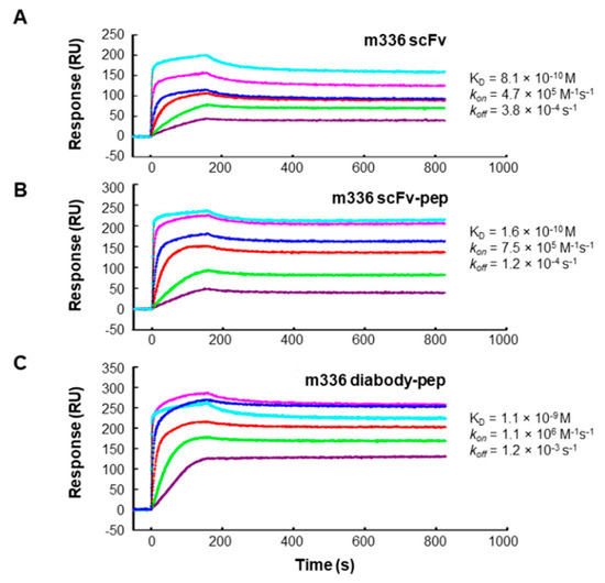 Antibodies Free Full Text Engineering A Novel Antibody Peptide Bispecific Fusion Protein Against Mers Cov Html