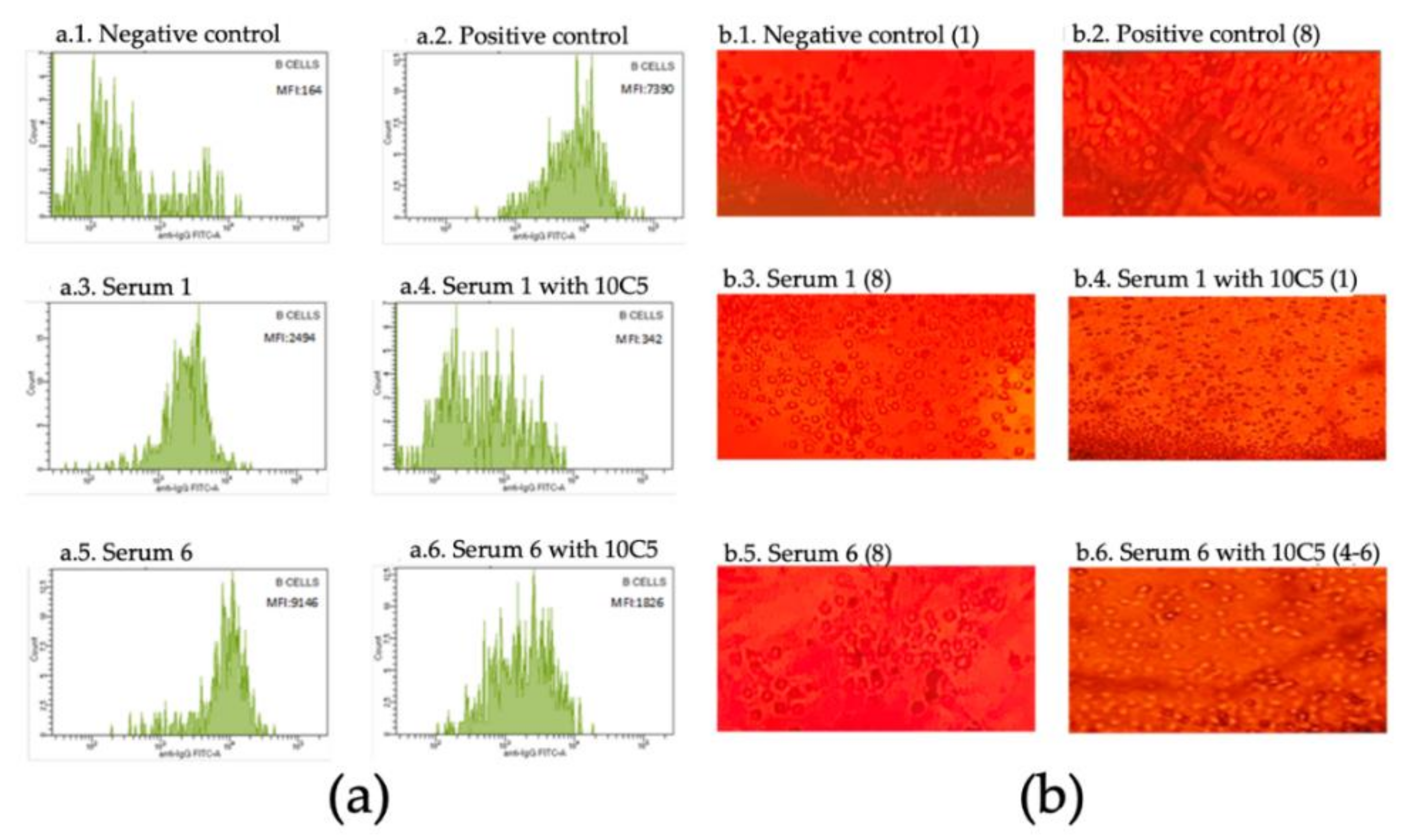 Antibodies 09 00041 g001 Antibodies 09 00041 g001