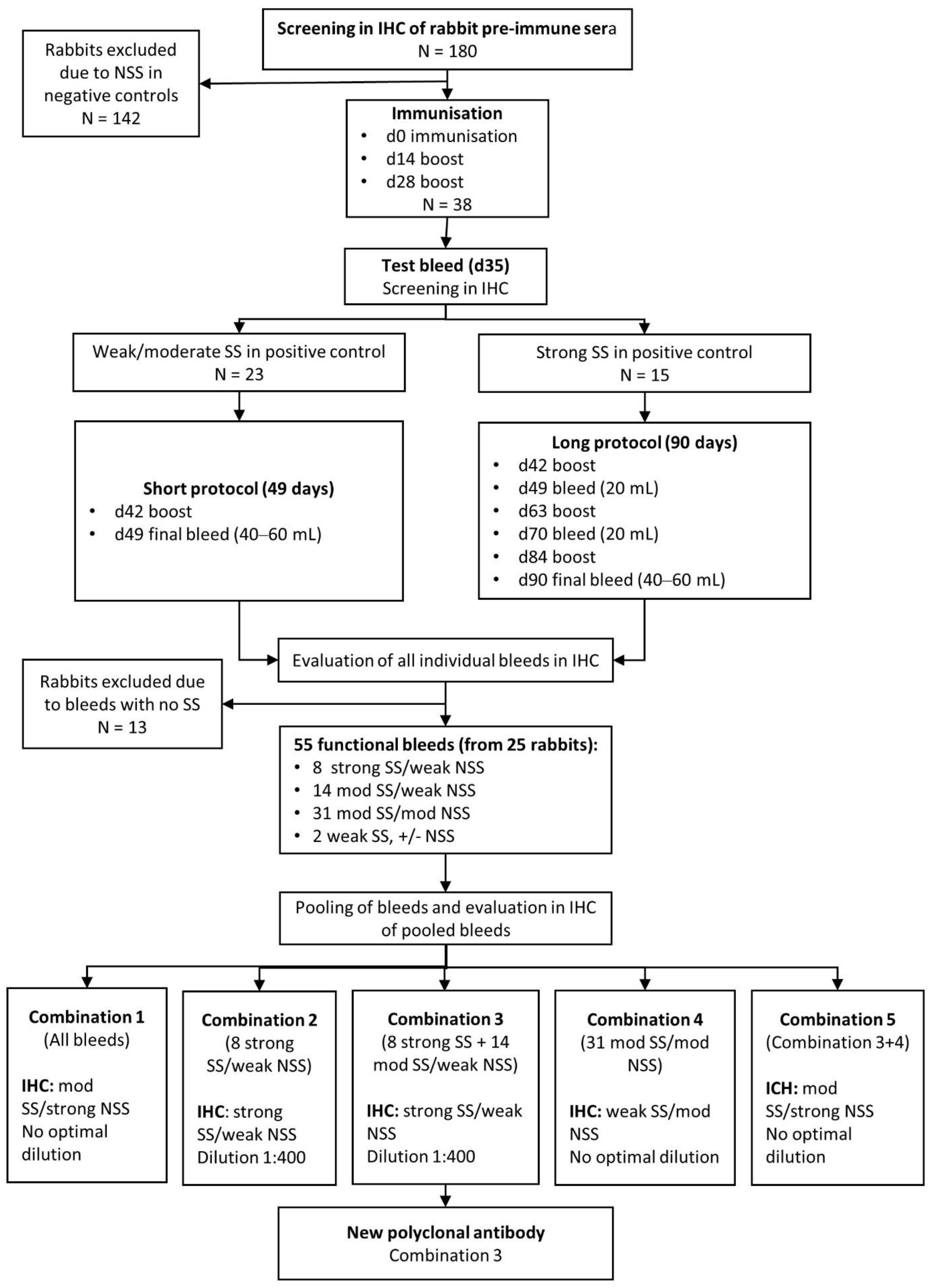 Antibodies 10 00034 g003