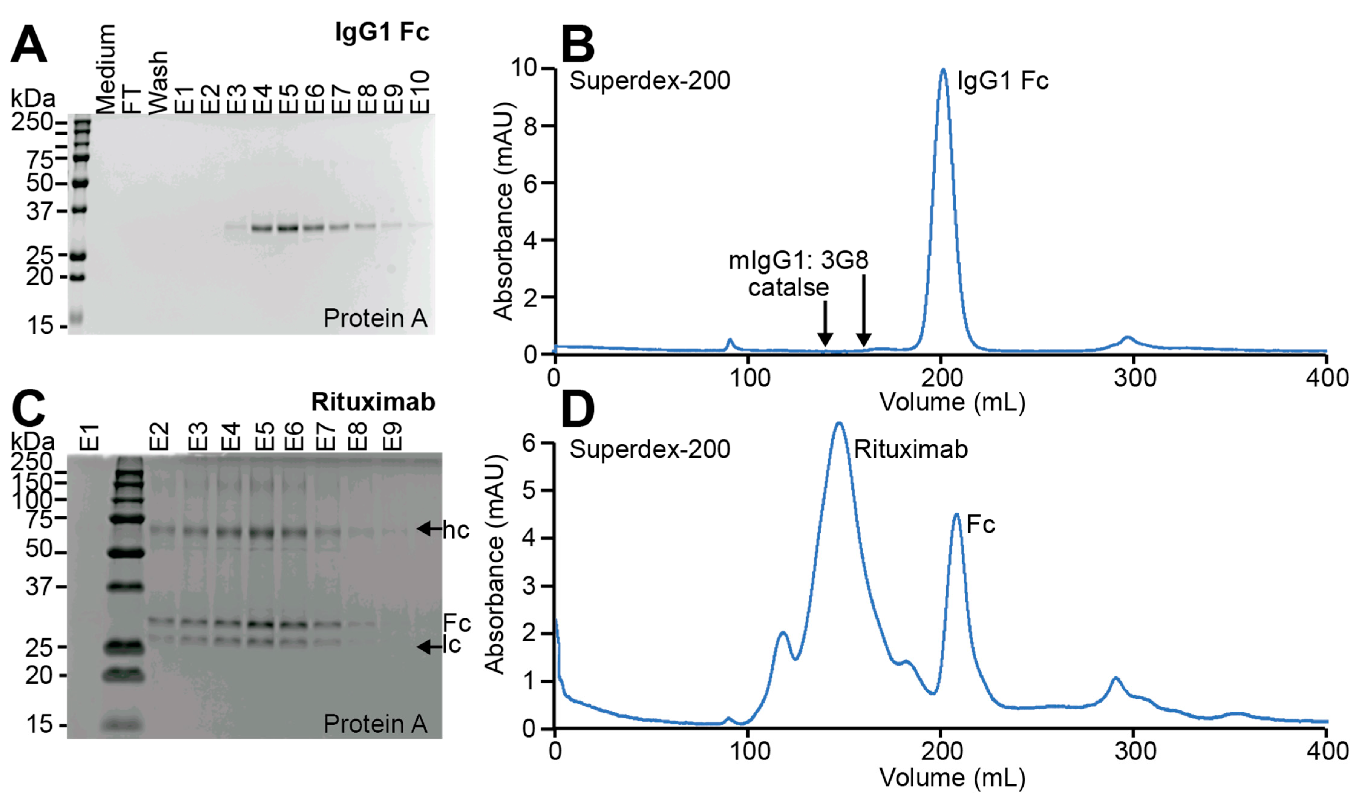 Antibodies 10 00038 g004