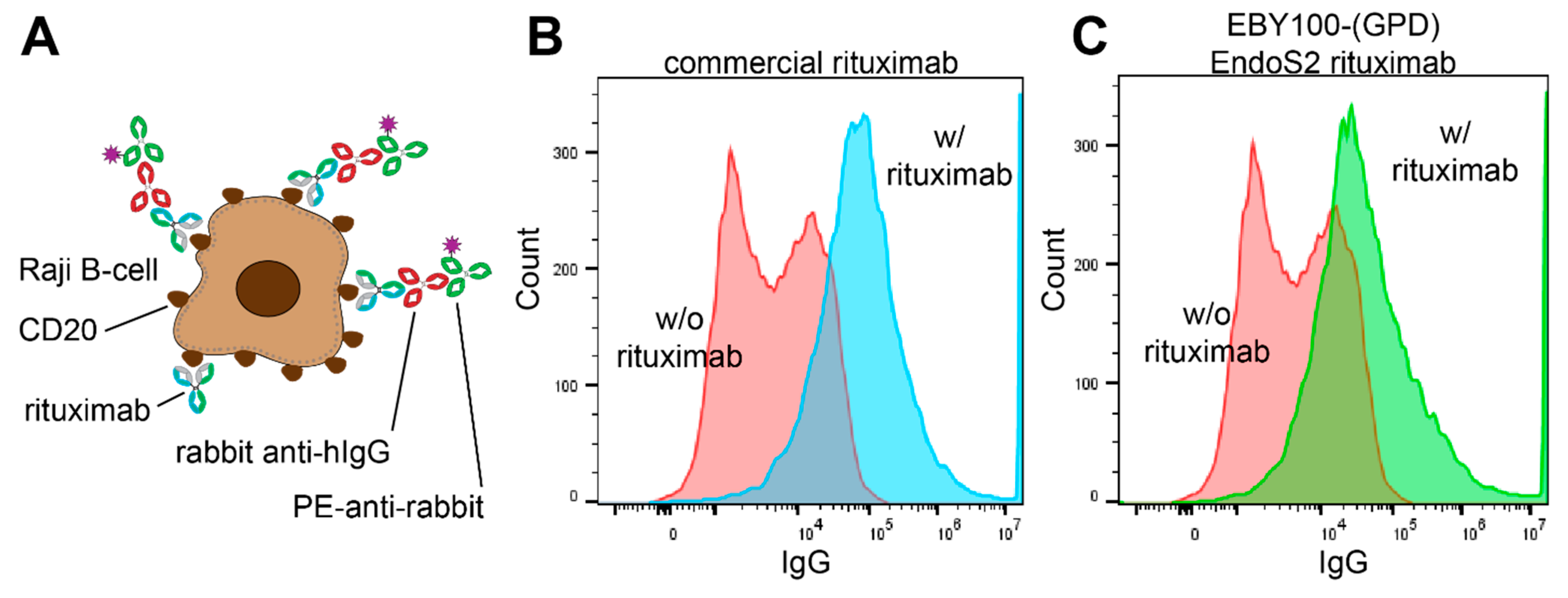 Antibodies 10 00038 g007