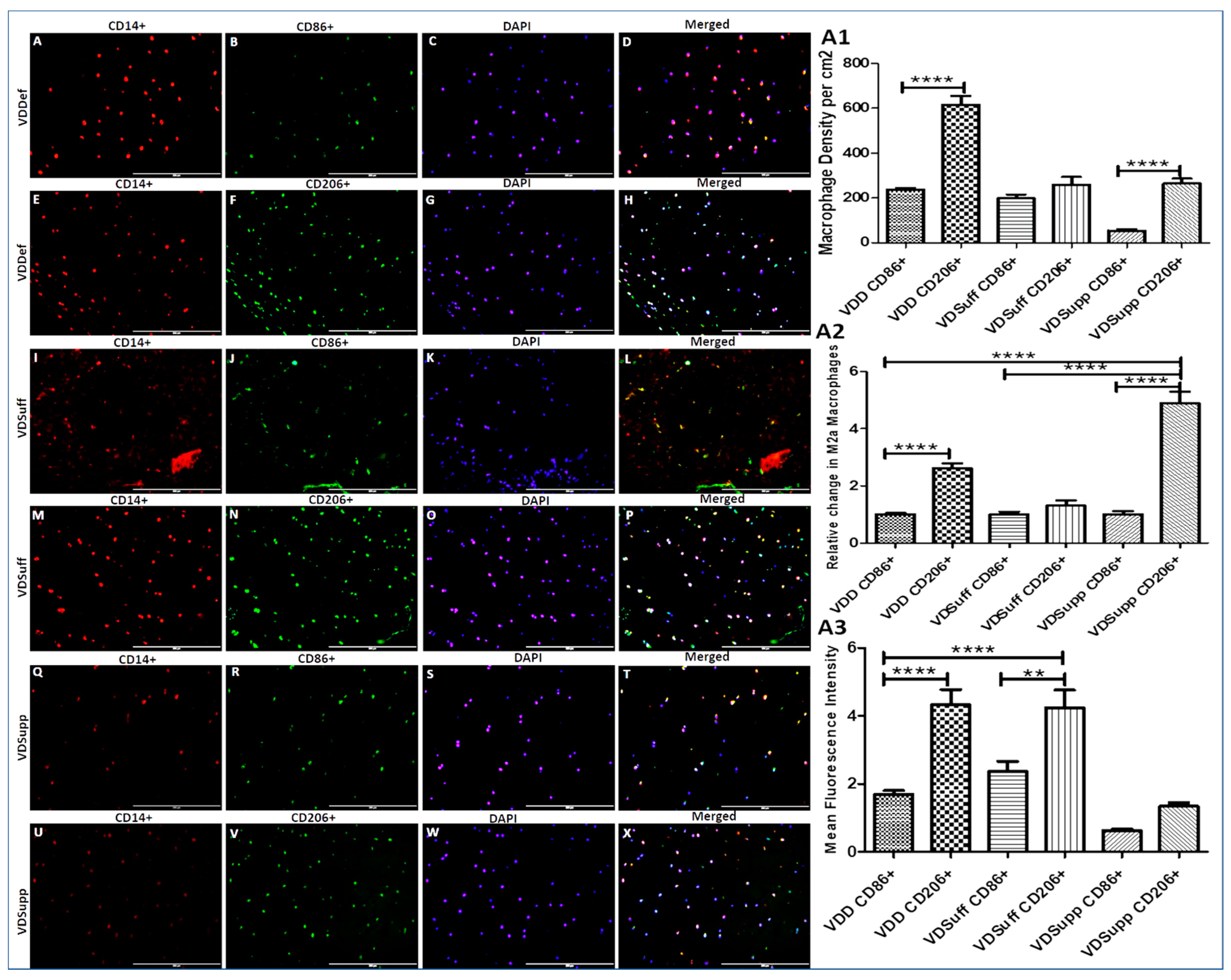 Antibodies 10 00041 g003