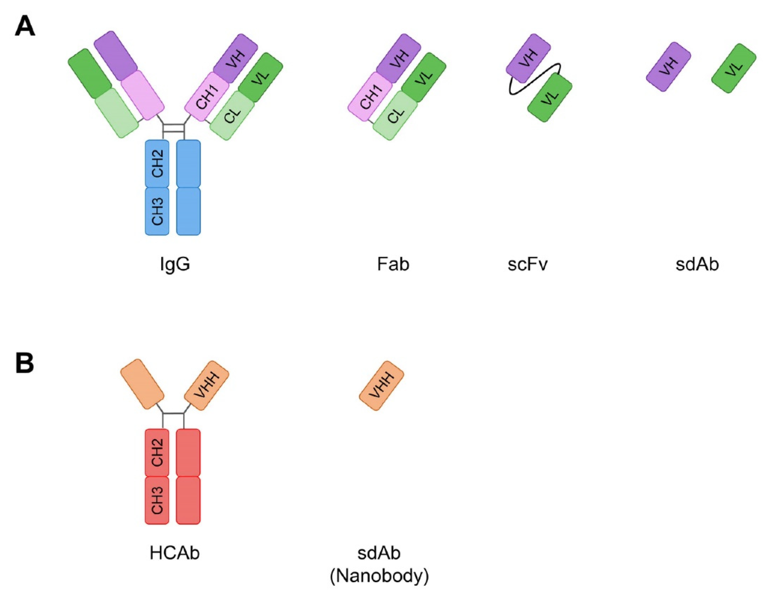 Antibodies Free Full Text Antibody Based Approaches To Target Pancreatic Tumours 