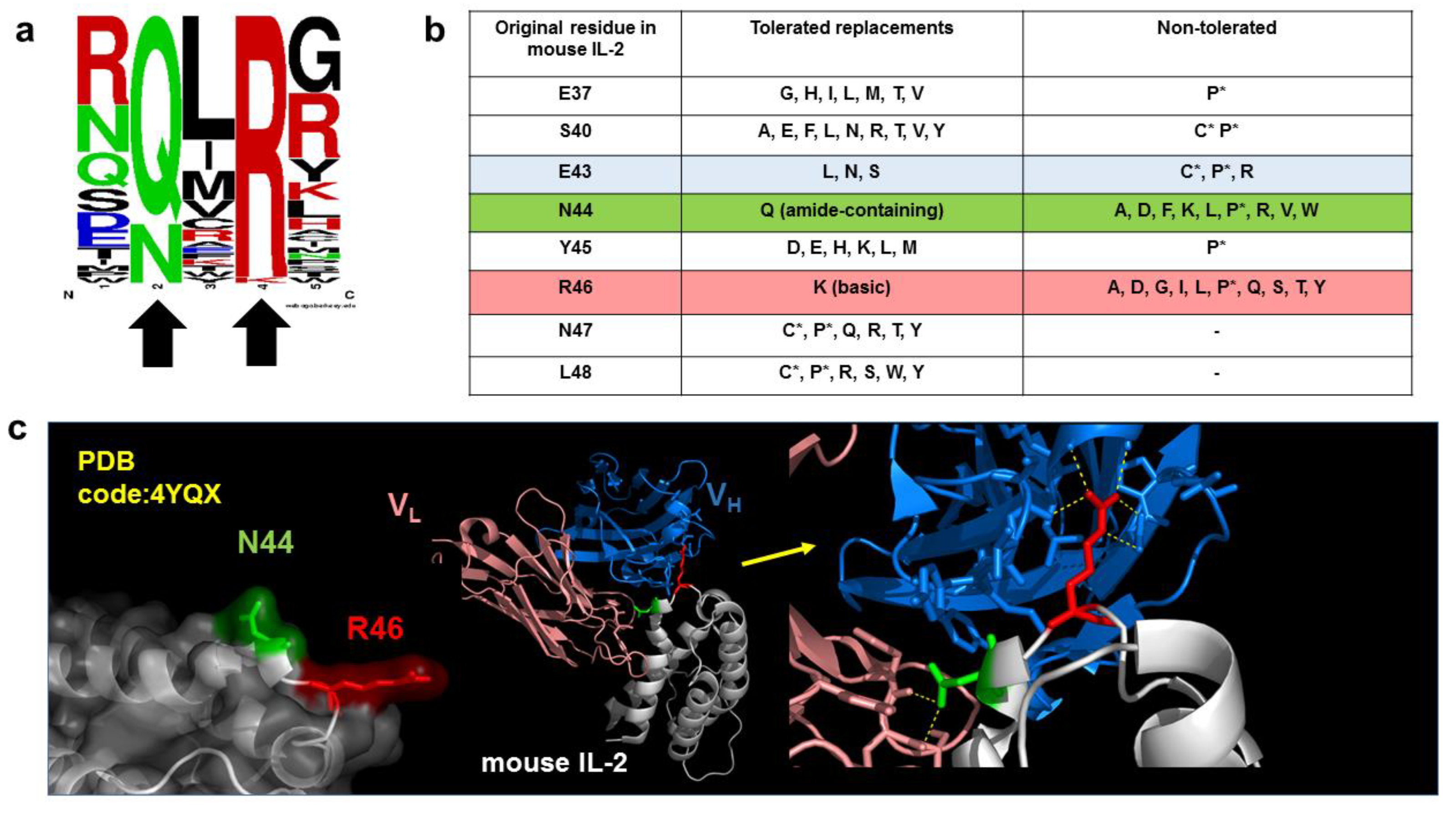 Antibodies 11 00048 g003
