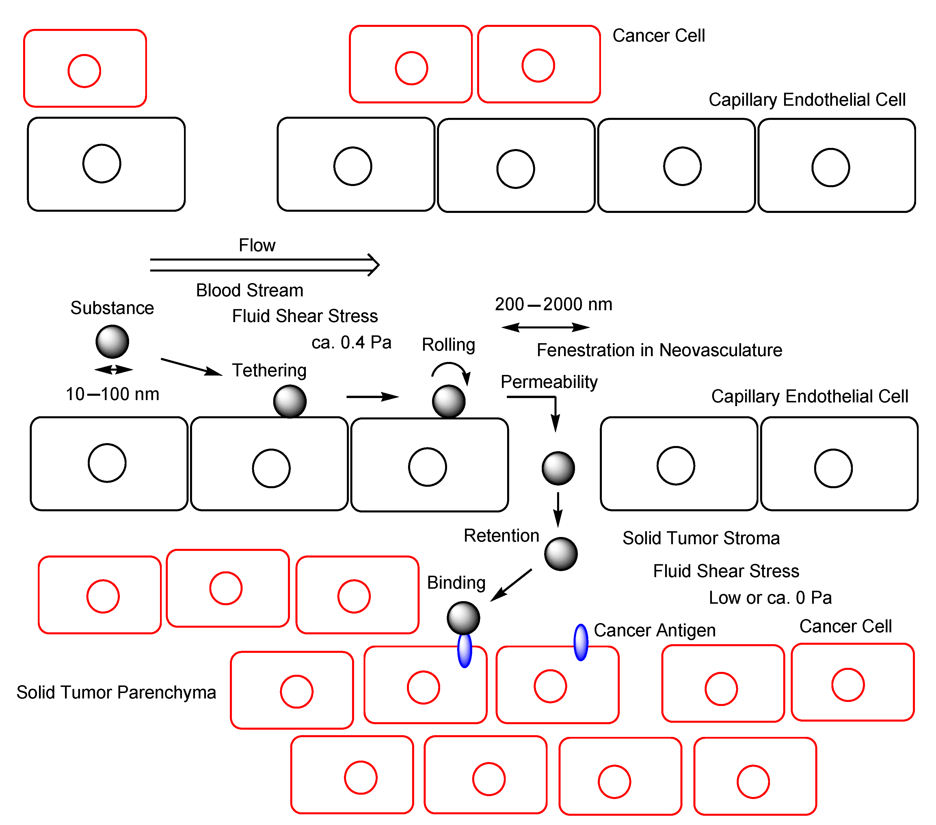 Antibodies 11 00078 g006 Antibodies 11 00078 g006