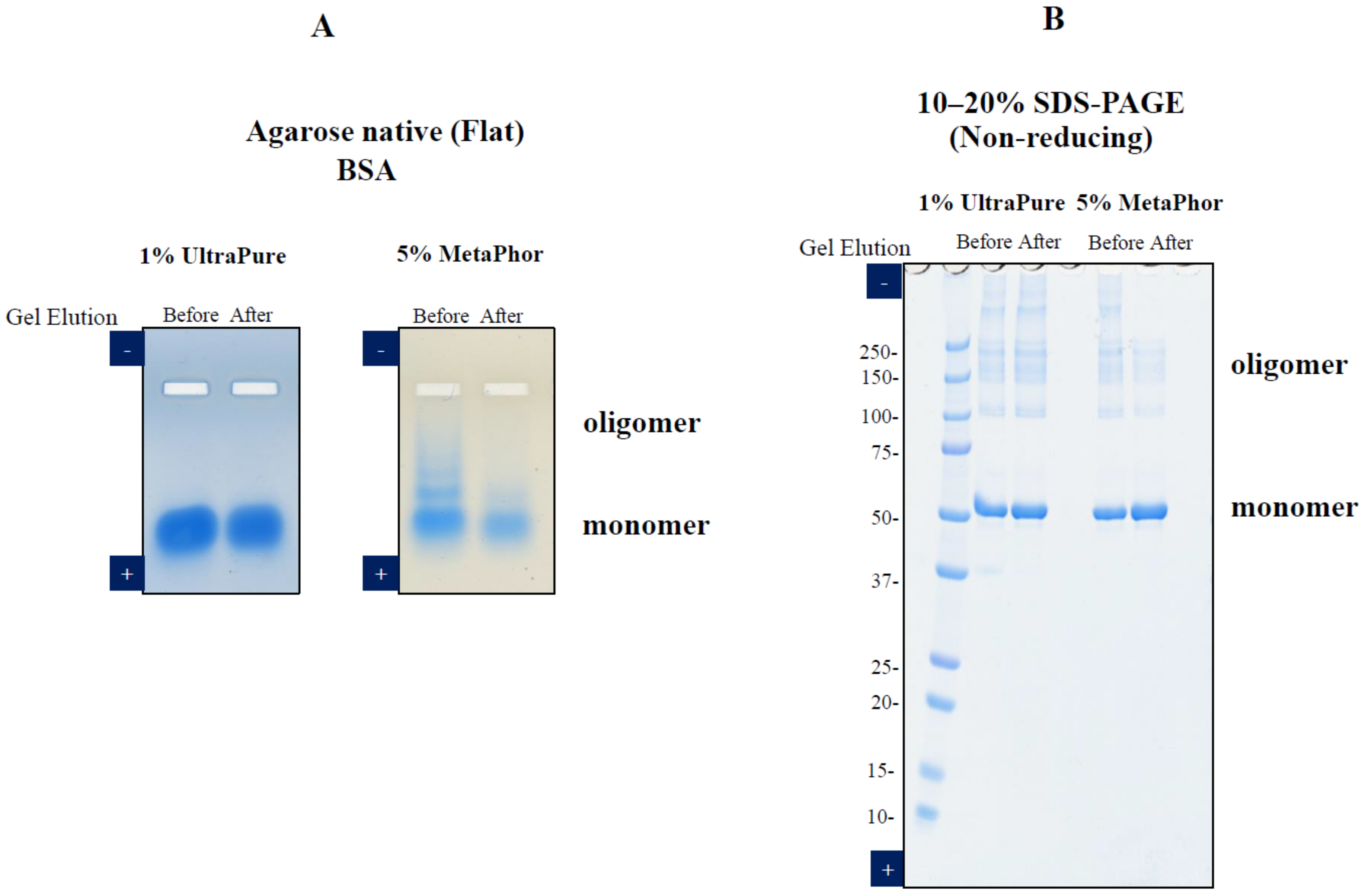 Antibodies 12 00015 g002 Antibodies 12 00015 g002