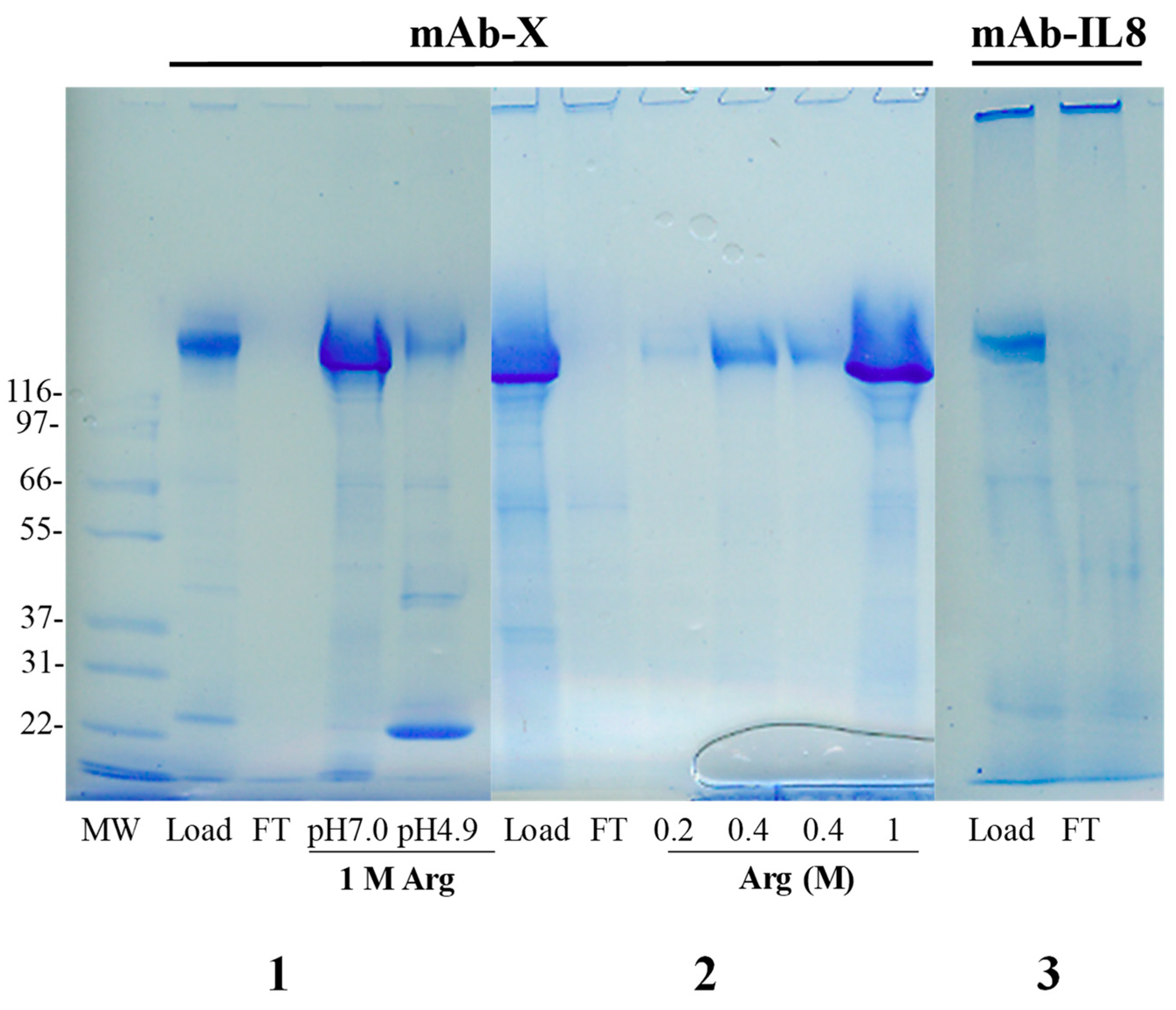 Antibodies 12 00015 g006 Antibodies 12 00015 g006
