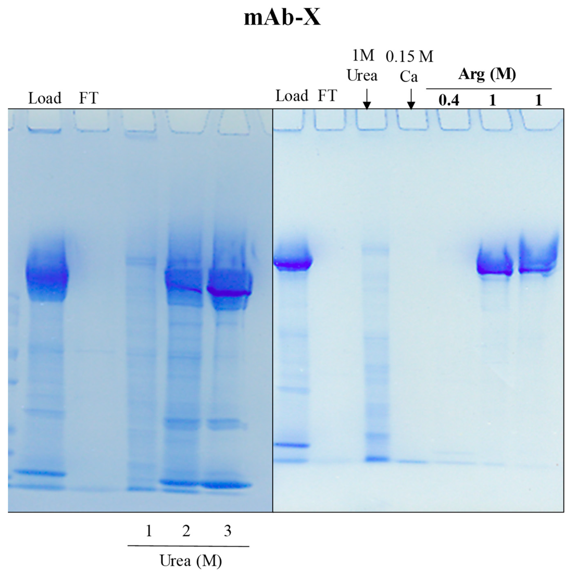 Antibodies 12 00015 g007 Antibodies 12 00015 g007