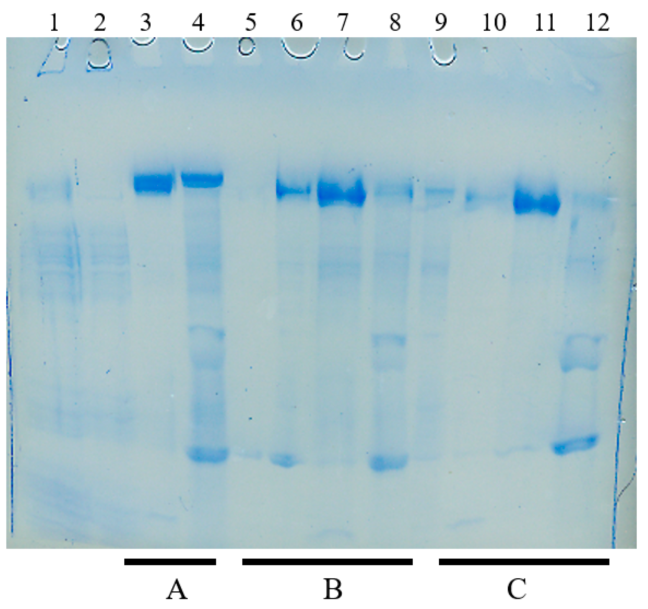Antibodies 12 00015 g008 Antibodies 12 00015 g008