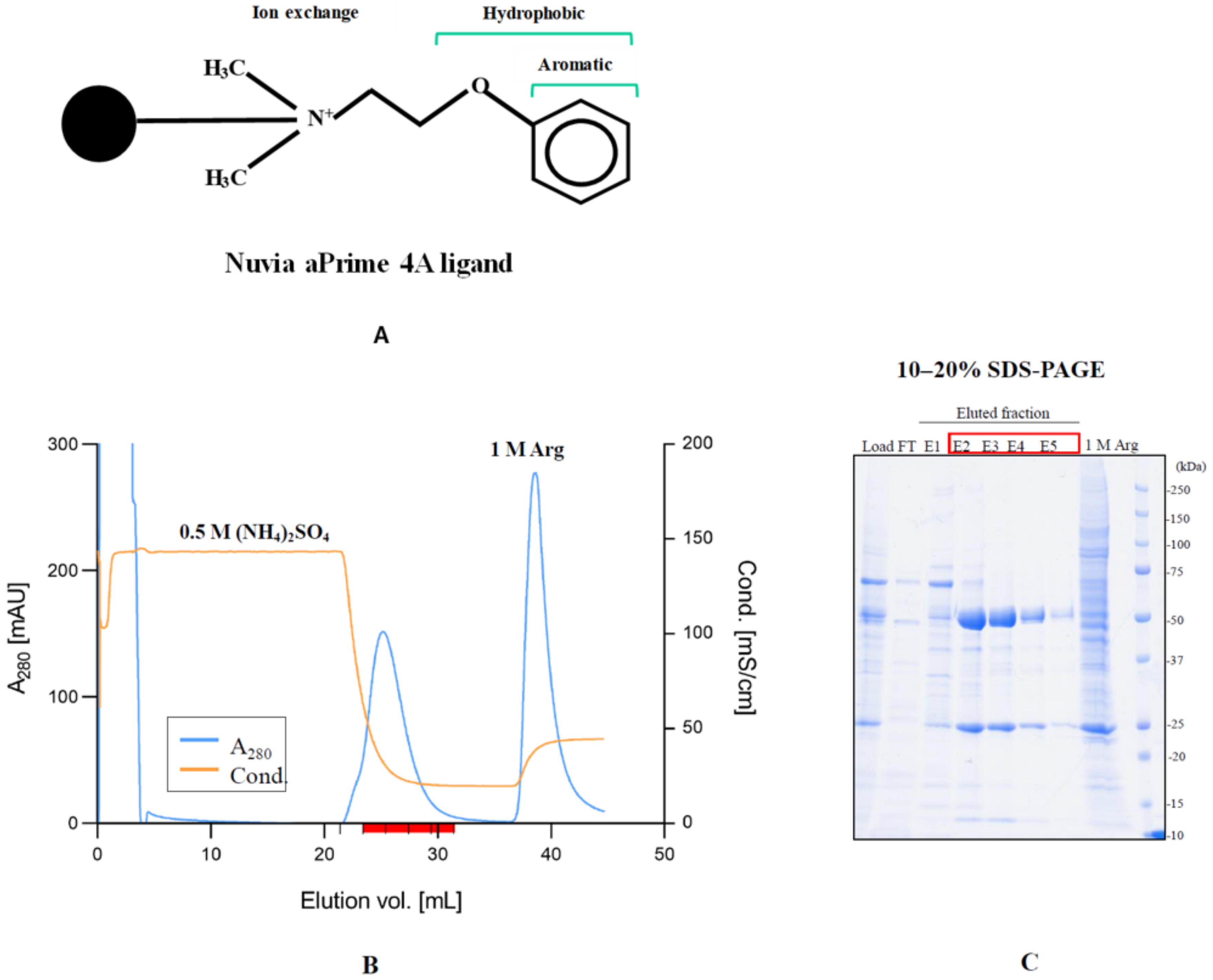 Antibodies 12 00015 g012 Antibodies 12 00015 g012