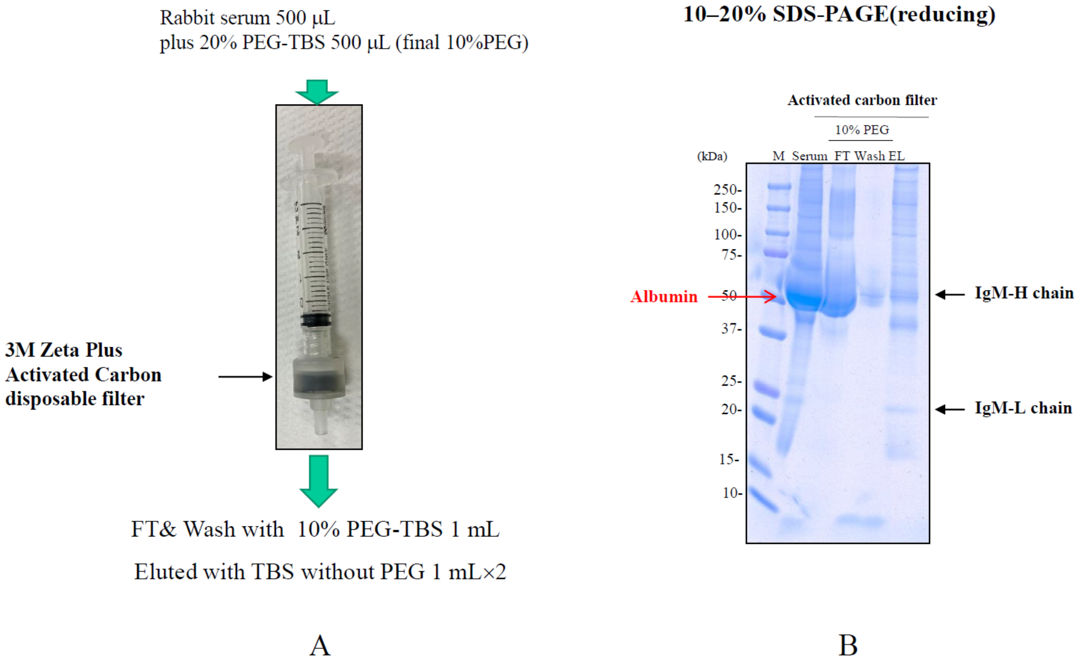 Antibodies 12 00015 g013 Antibodies 12 00015 g013
