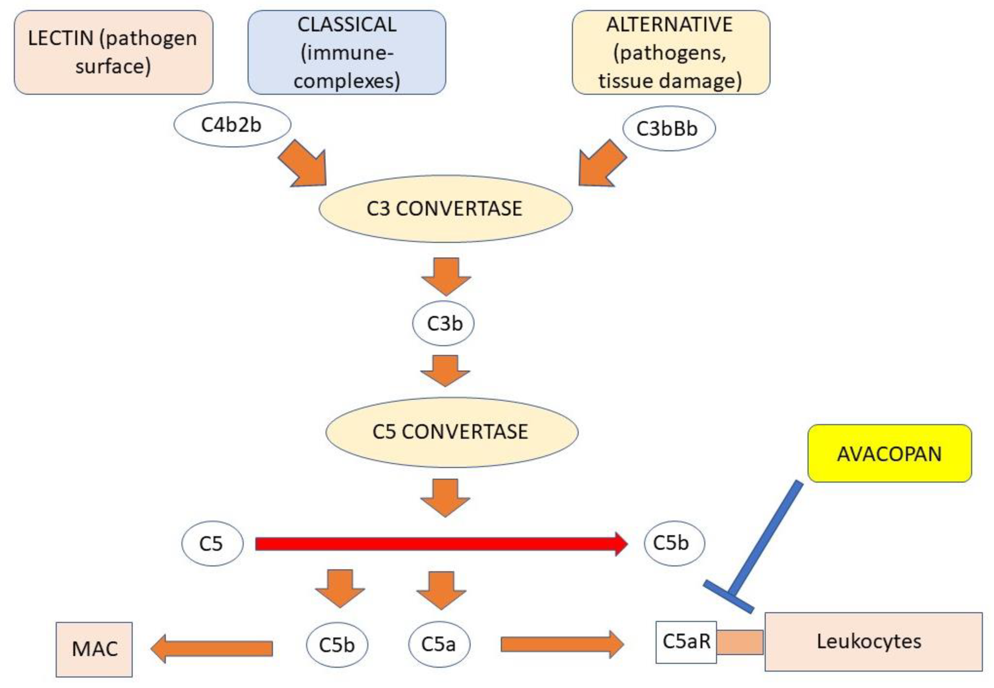 Antibodies 12 00025 g002 Antibodies 12 00025 g002