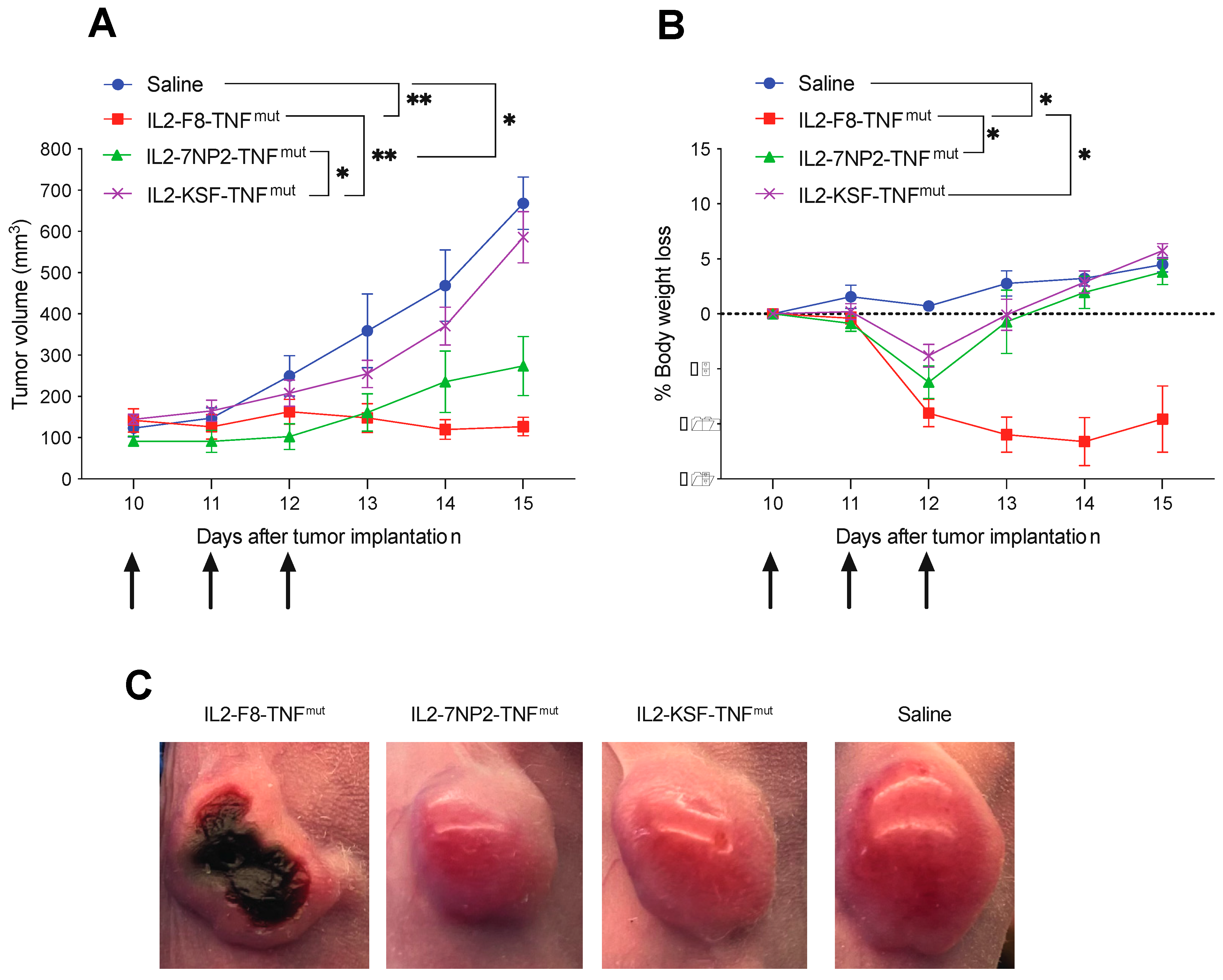 Antibodies 12 00029 g004 Antibodies 12 00029 g004
