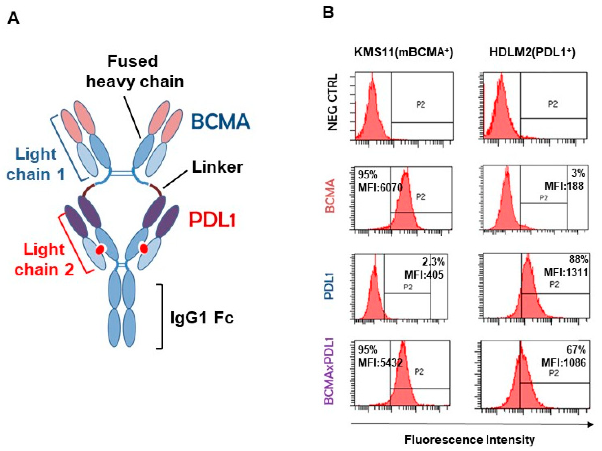Antibodies 13 00015 g003