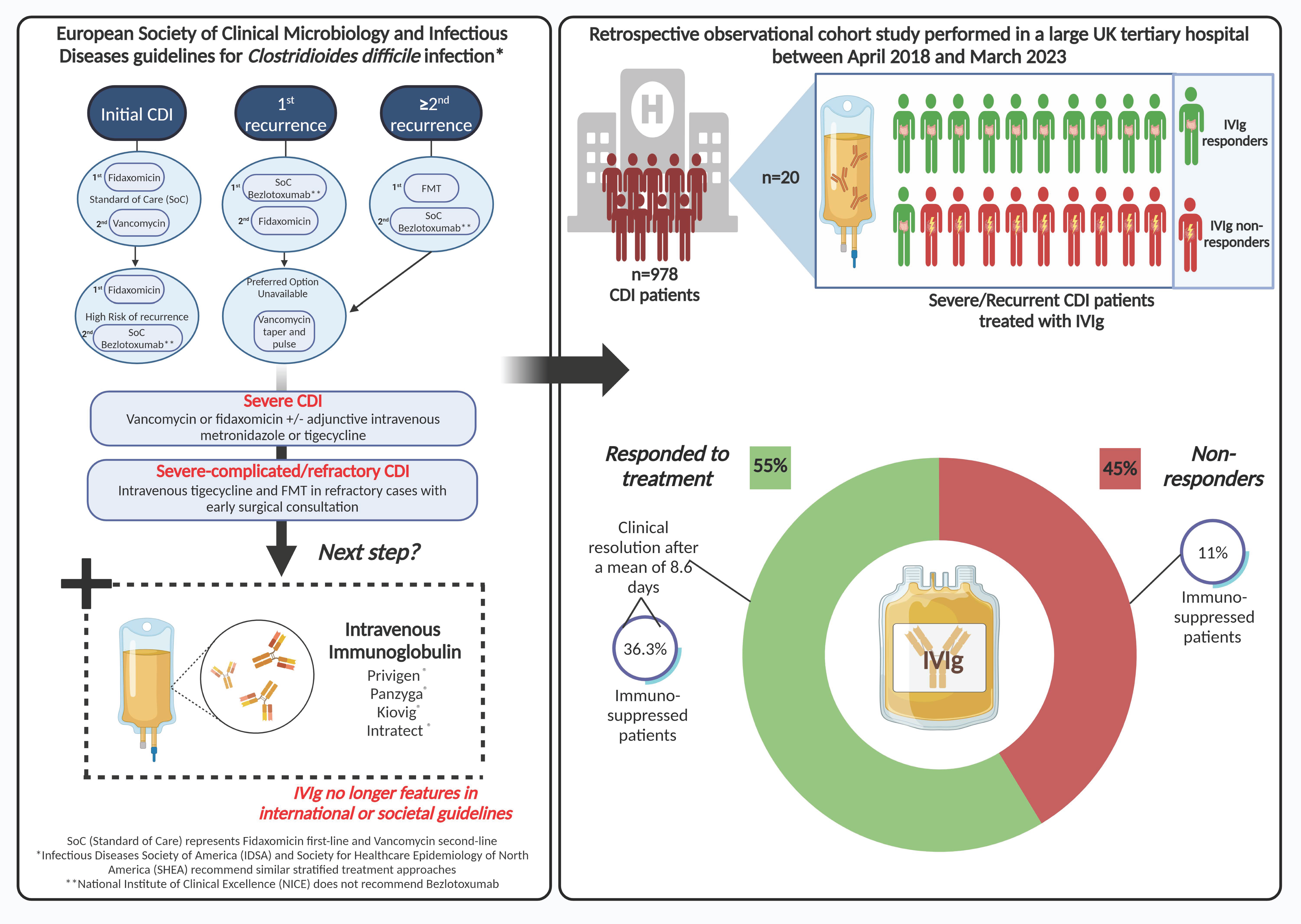 Antibodies 13 00026 g001