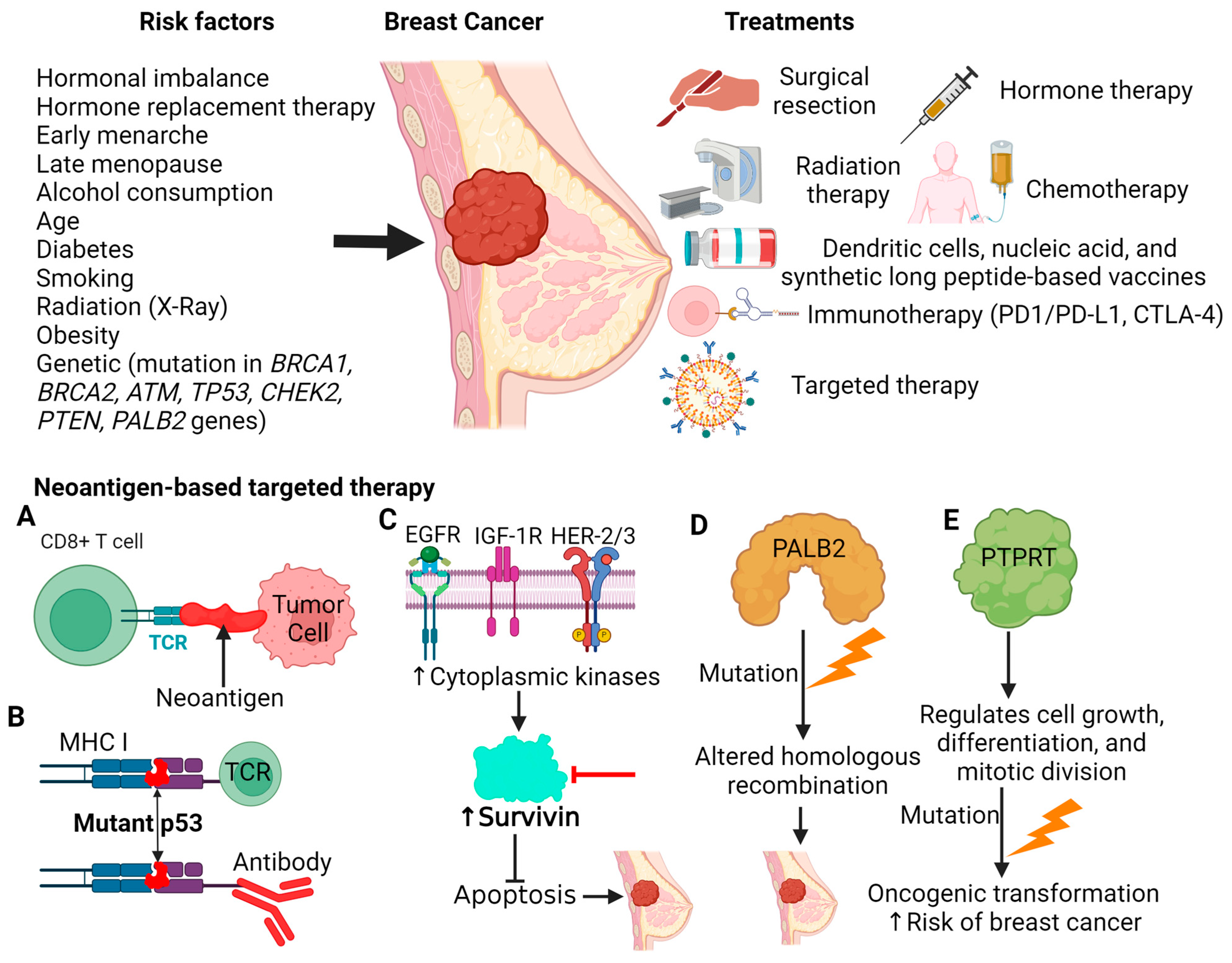Antibodies 13 00046 g001