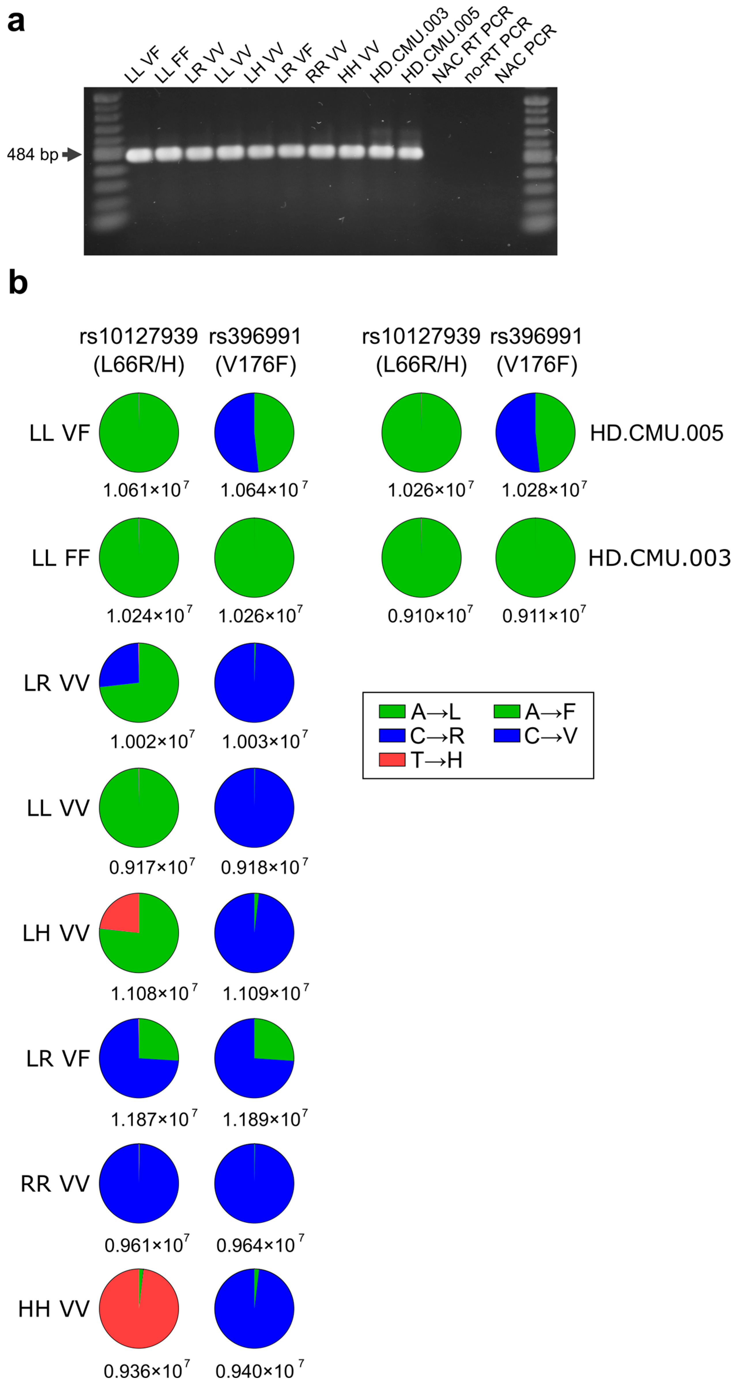 Antibodies 13 00055 g001